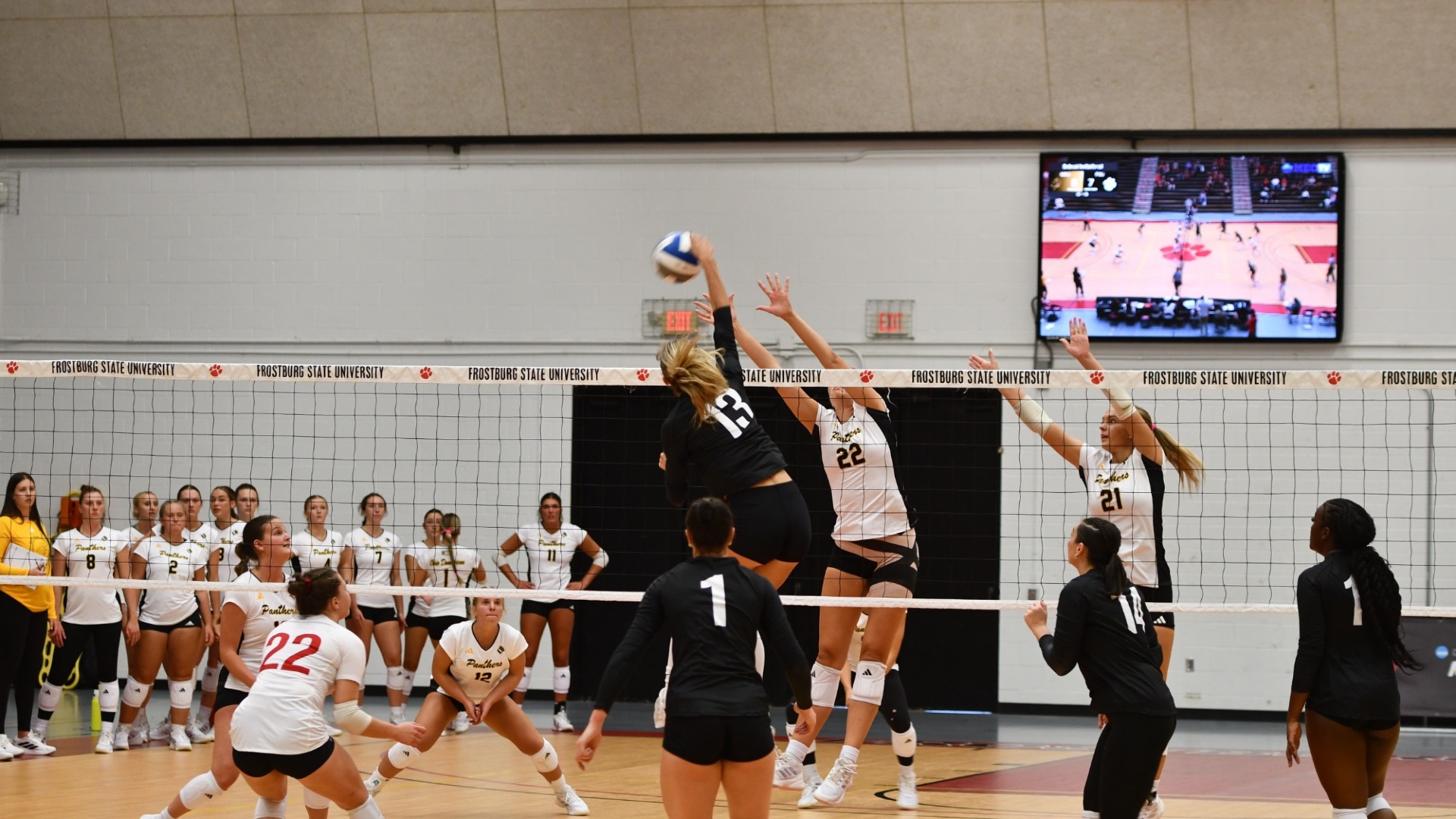 Yocham v ODU 25