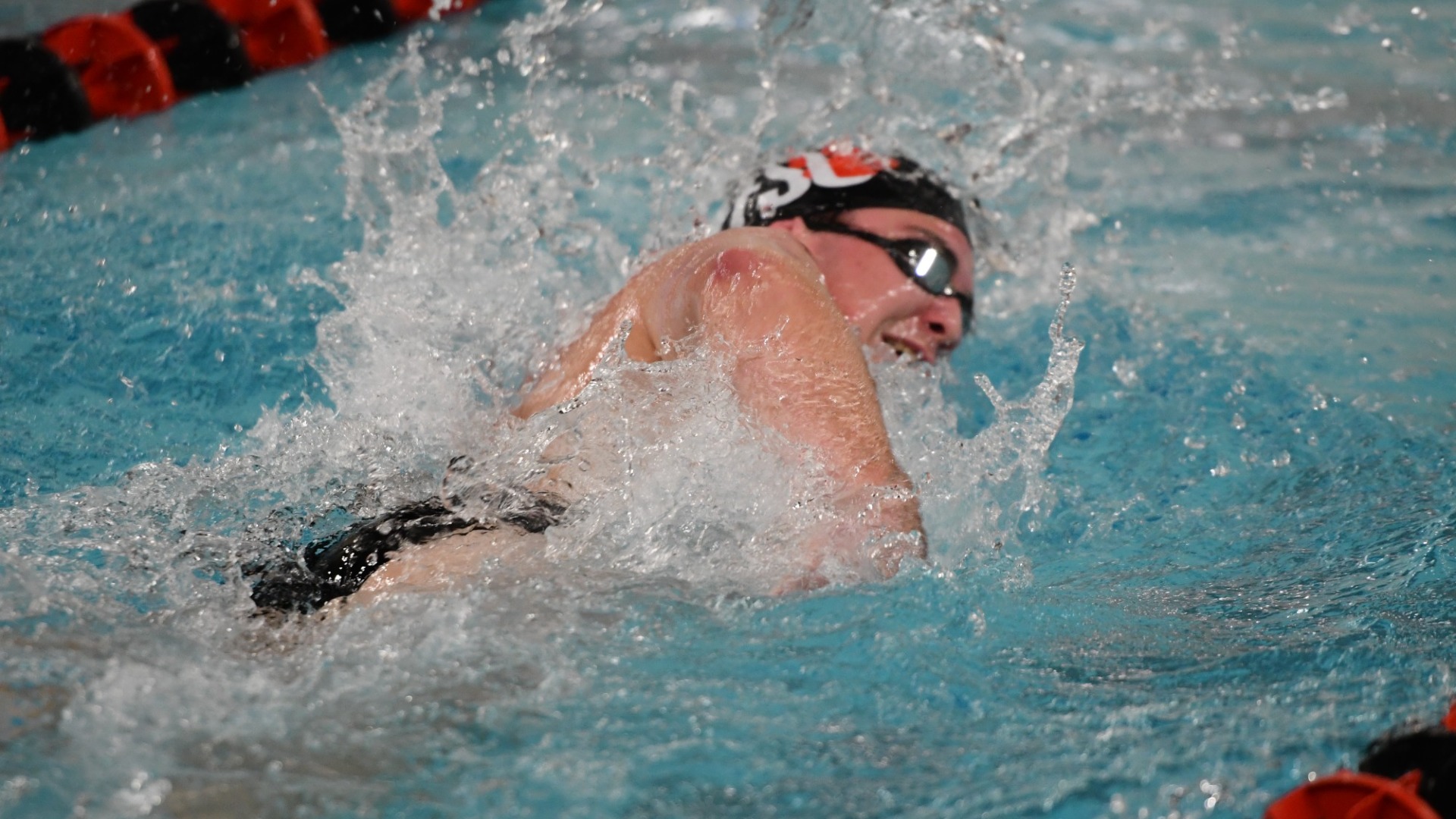 Bond Free v Fairmont 25