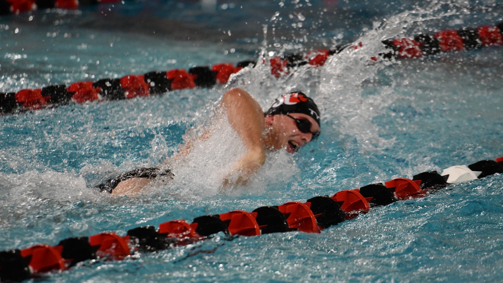 Filipovits Free v Fairmont 25