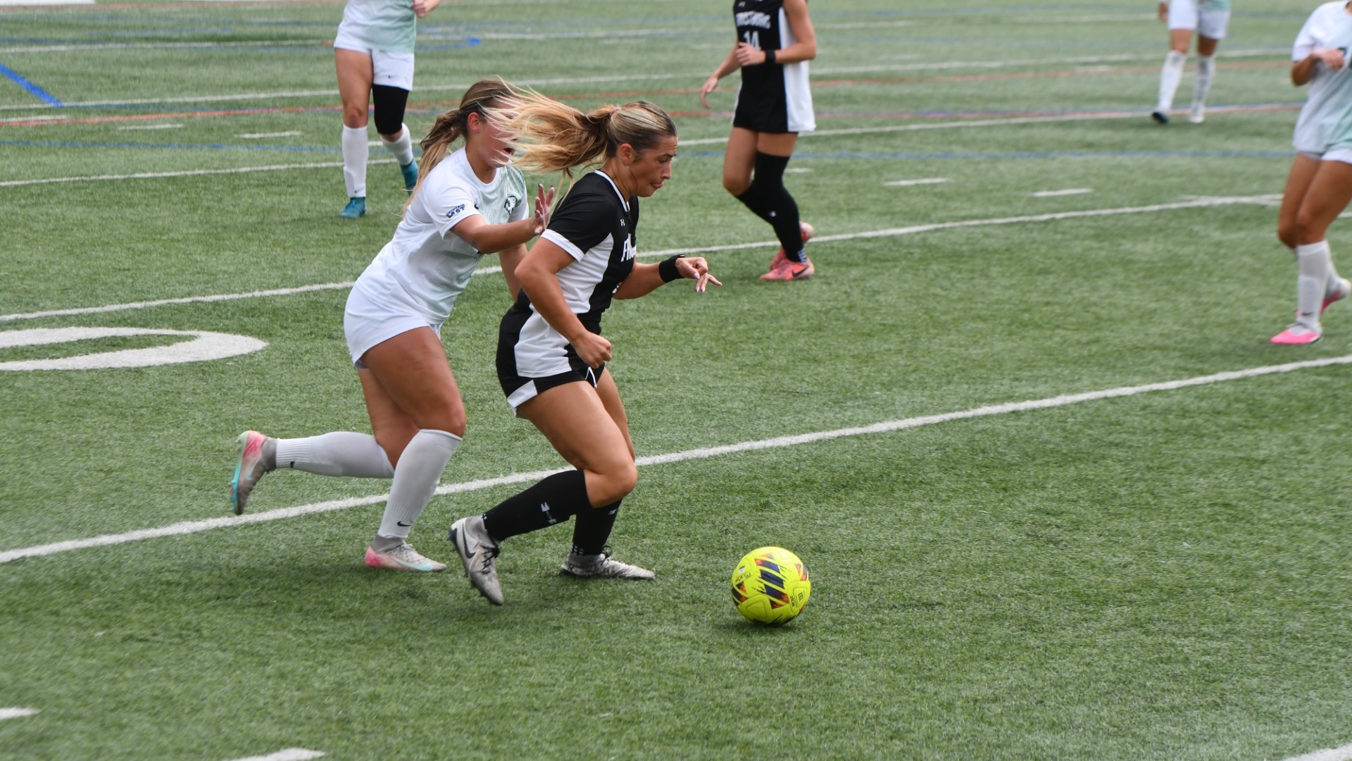 Rebuck Shielding vs PPU 26