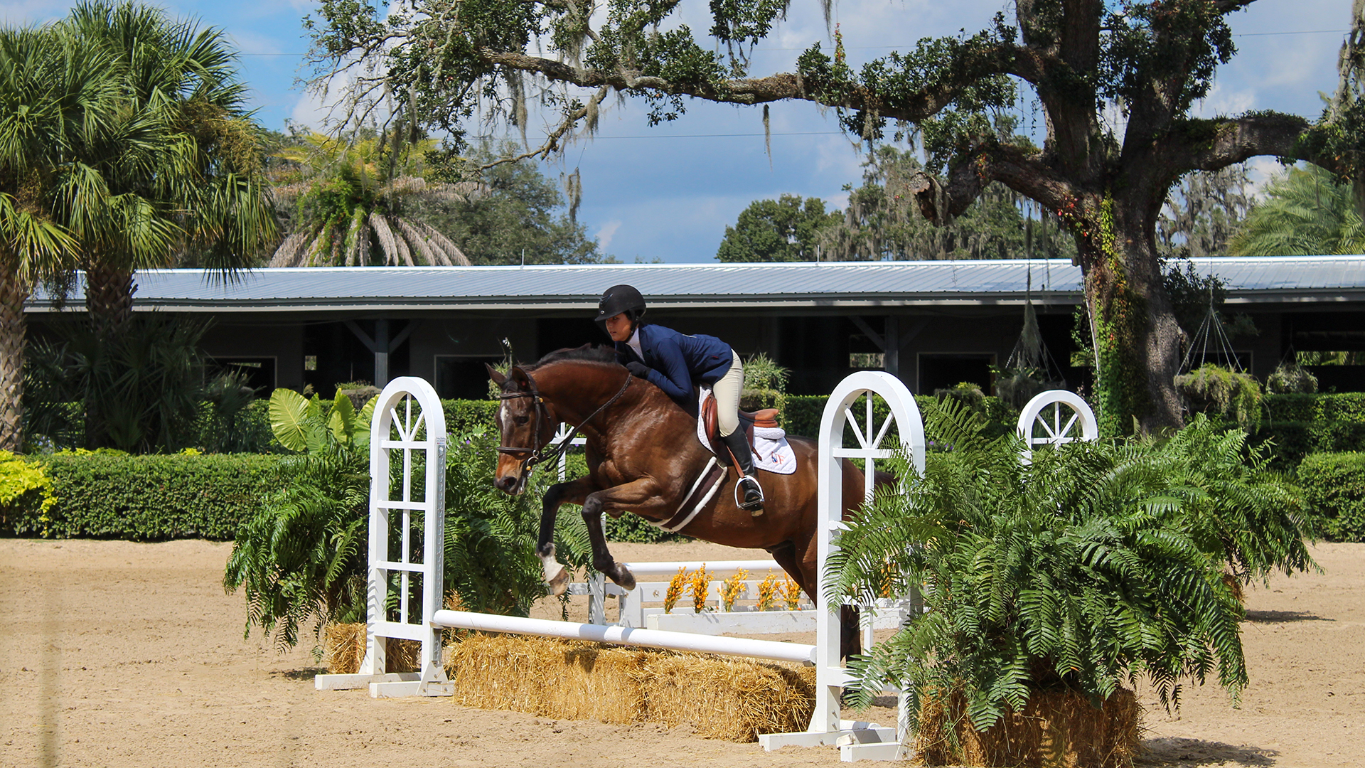 Equestrian jump
