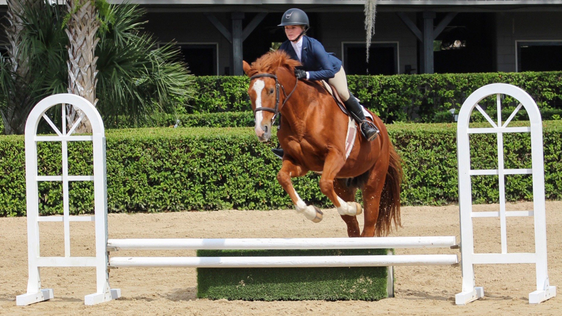 Equestrian jump 23-24 at UF