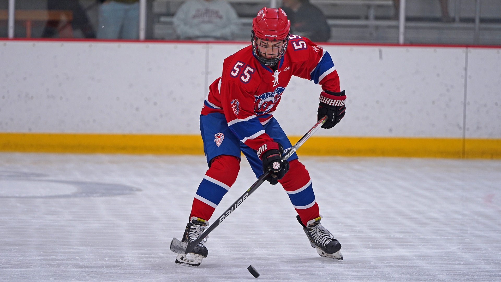 Matthew Fromer 202223 Men's Ice Hockey Florida Southern College