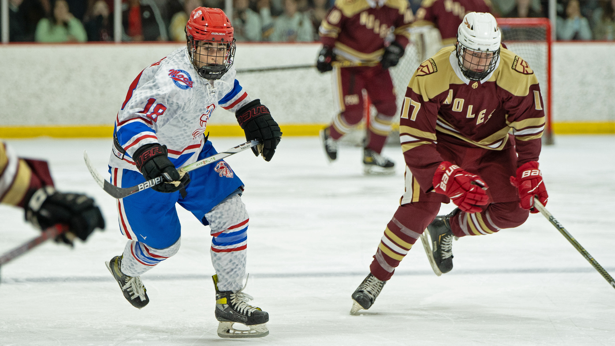 Bradley Peterin Ice Hockey vs FSC