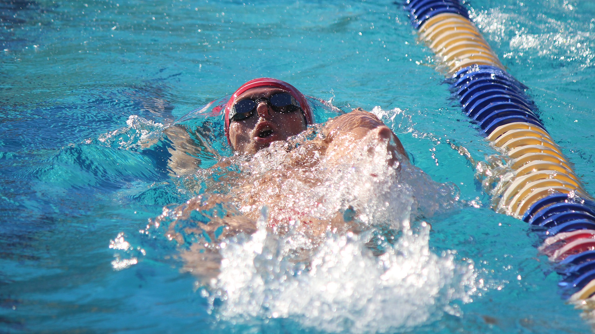 MSWIM backstroke at Rollins 1.16.26