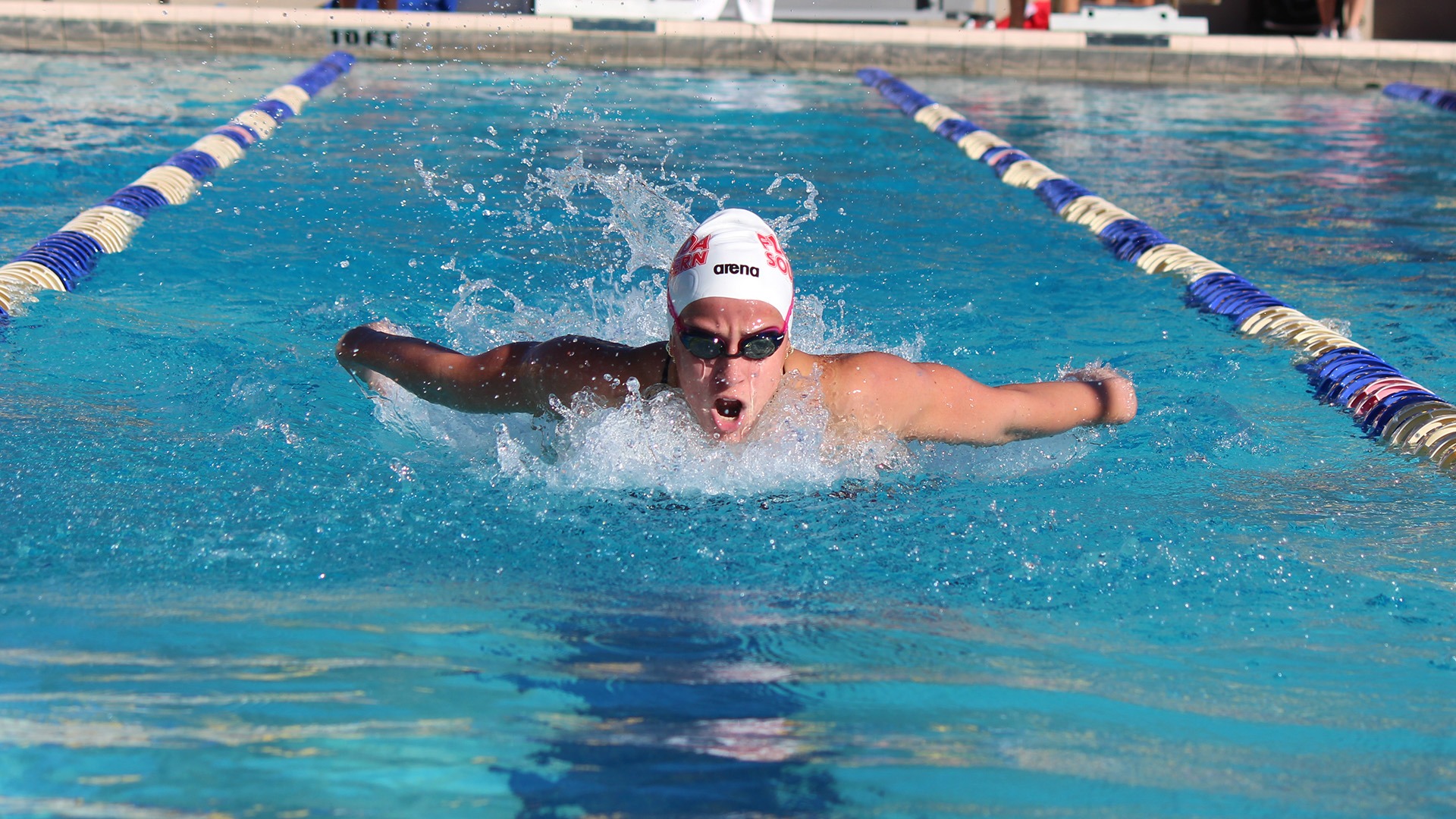 WSWIM fly at Rollins 1.16.26