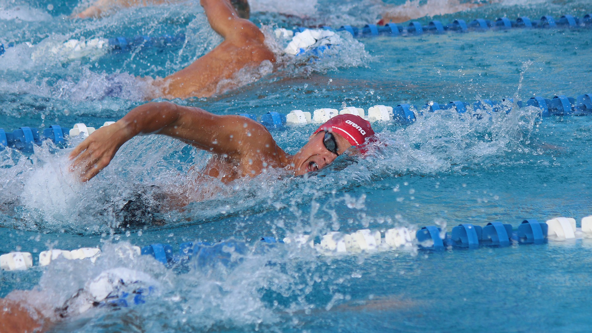 MSWIM free at NSU 1.23.26