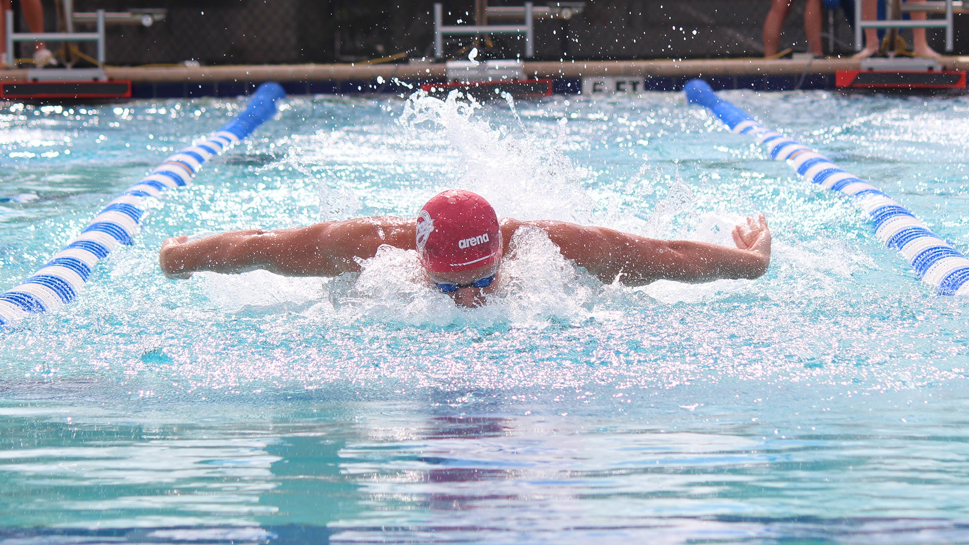 MSWIM fly at Lynn 1.24.26