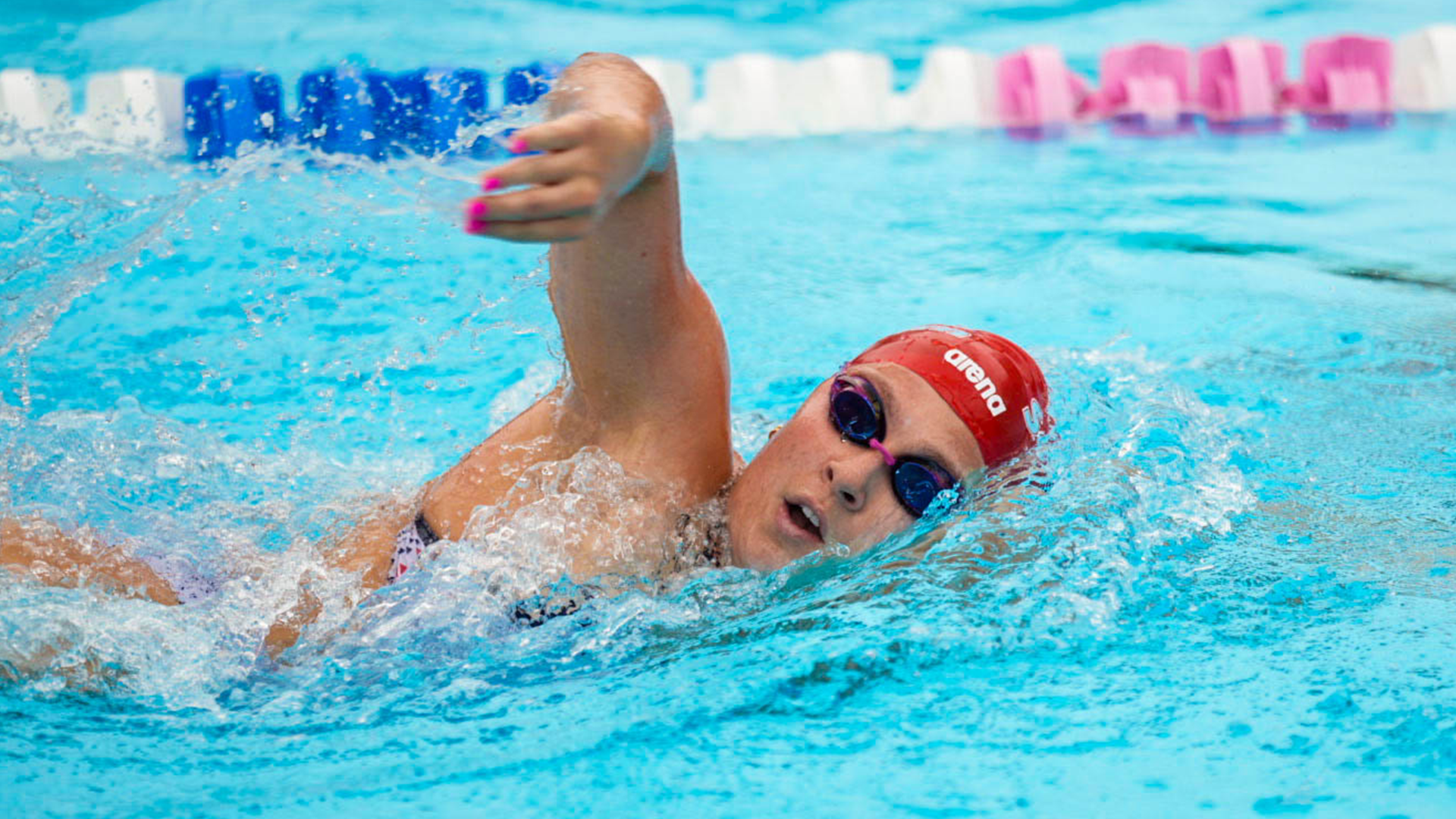 WSWIM v FIT 2026