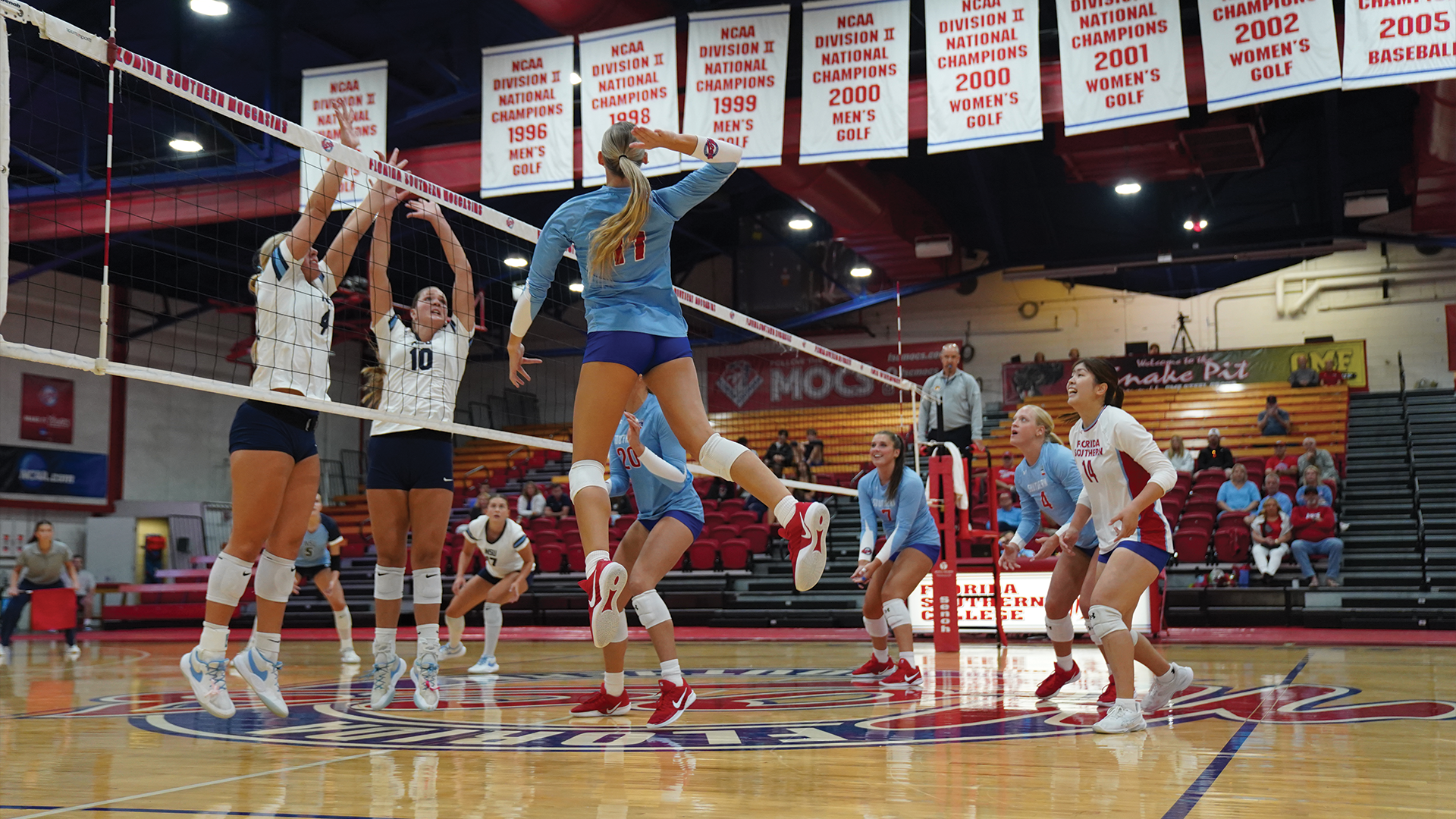 lindsay piktel vs nova