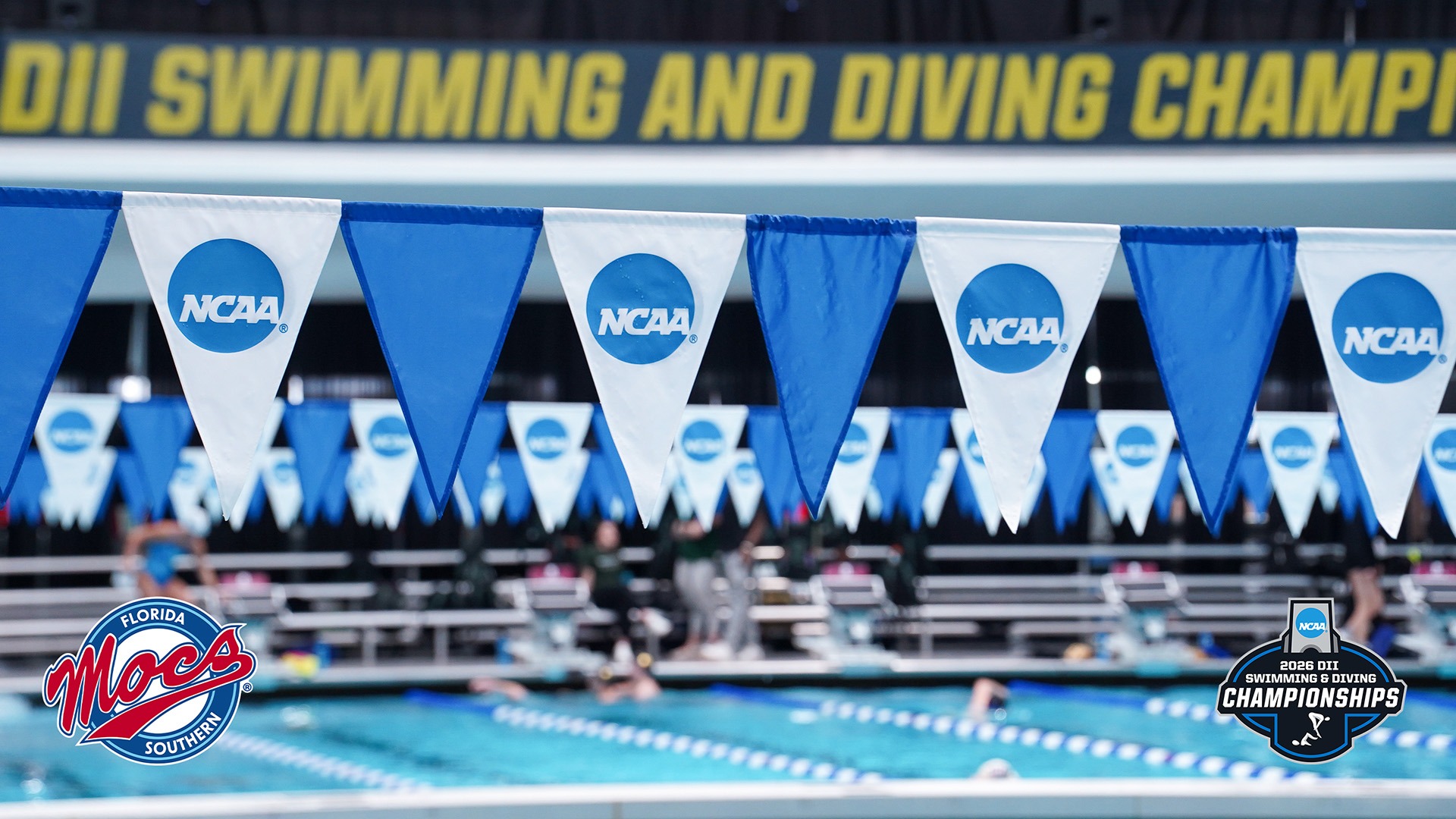 2026 NCAA Swim Preview new