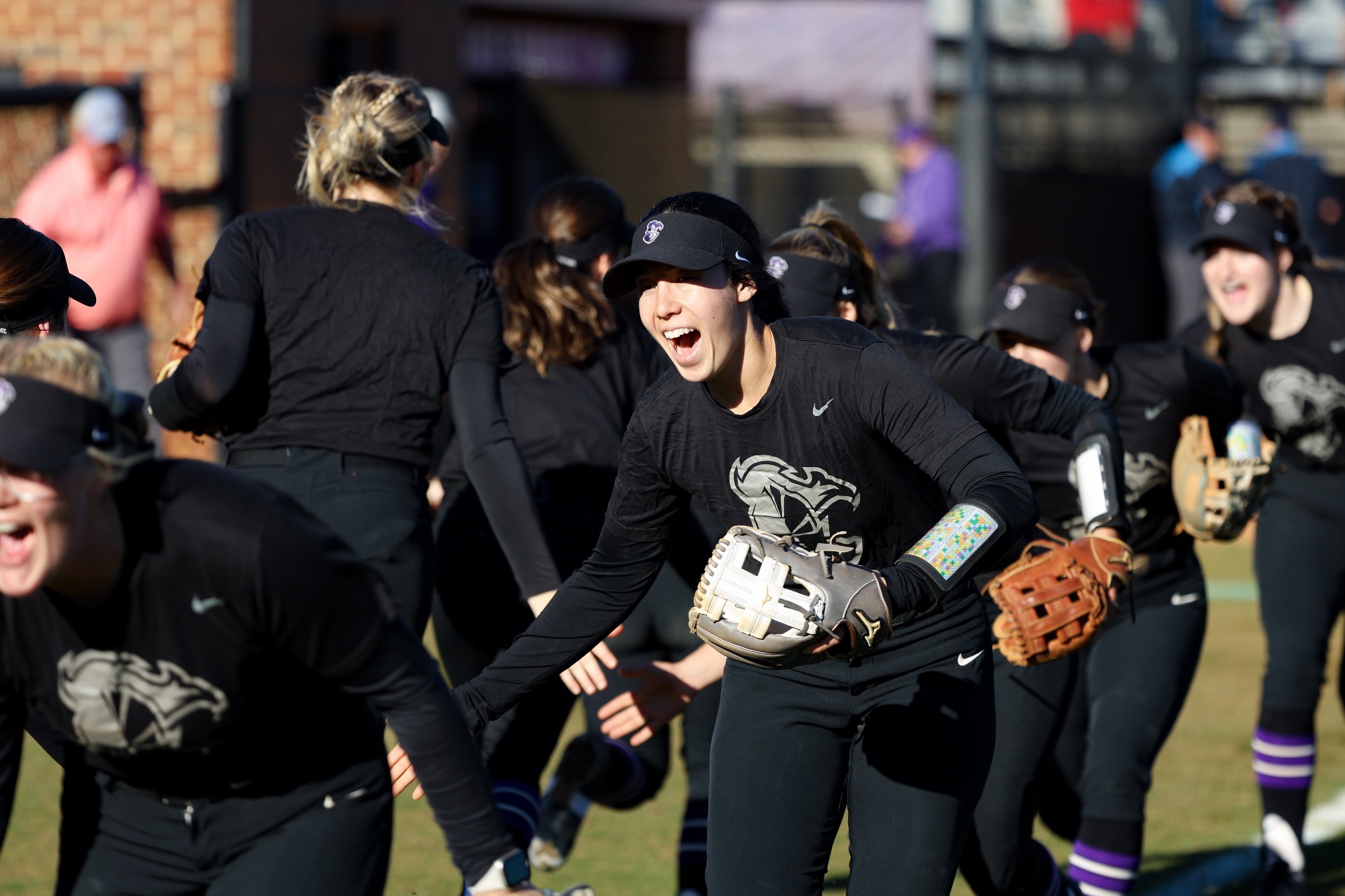 Schedule Changes Announced For Furman Versus ETSU Softball Series