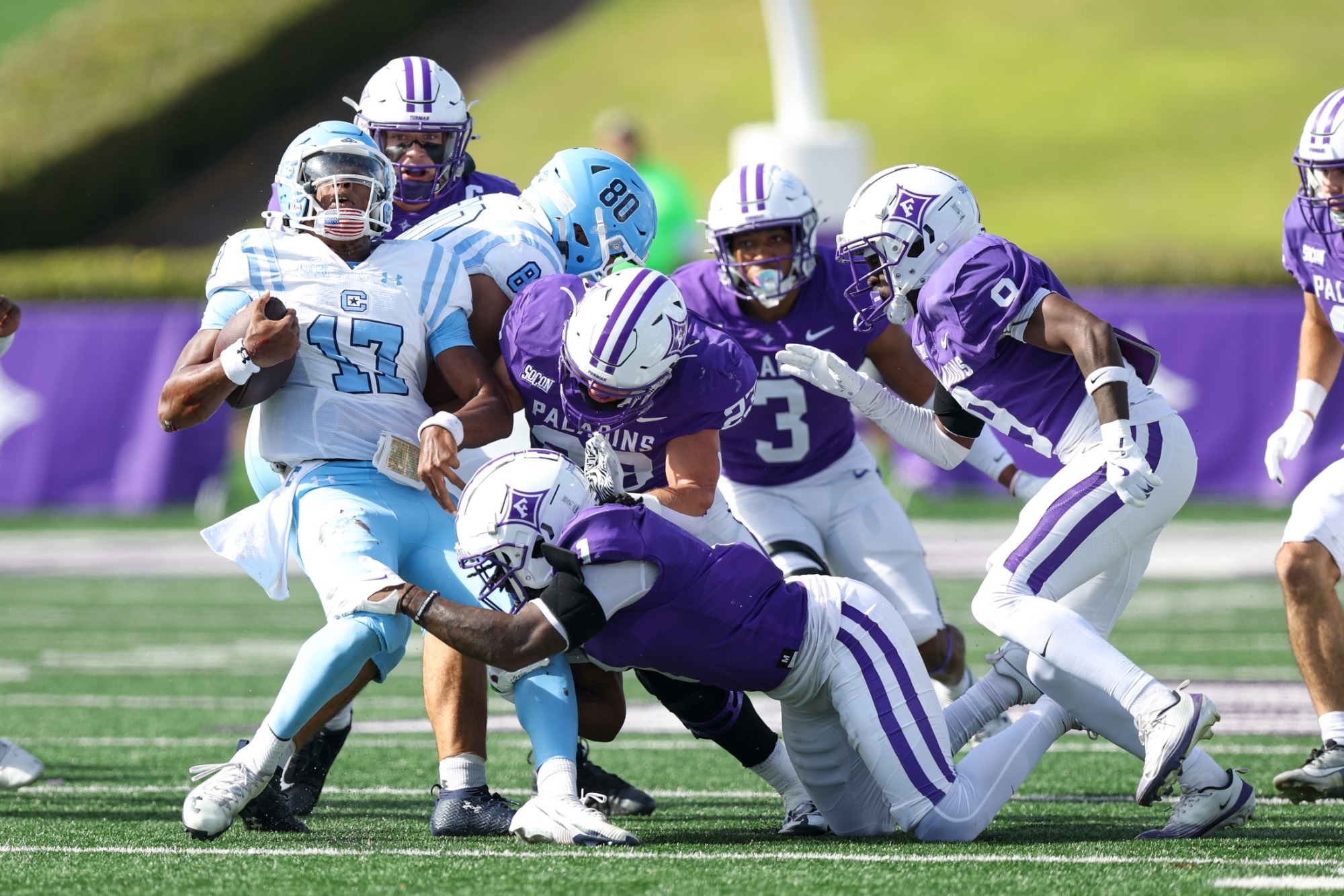 Furman Paladins