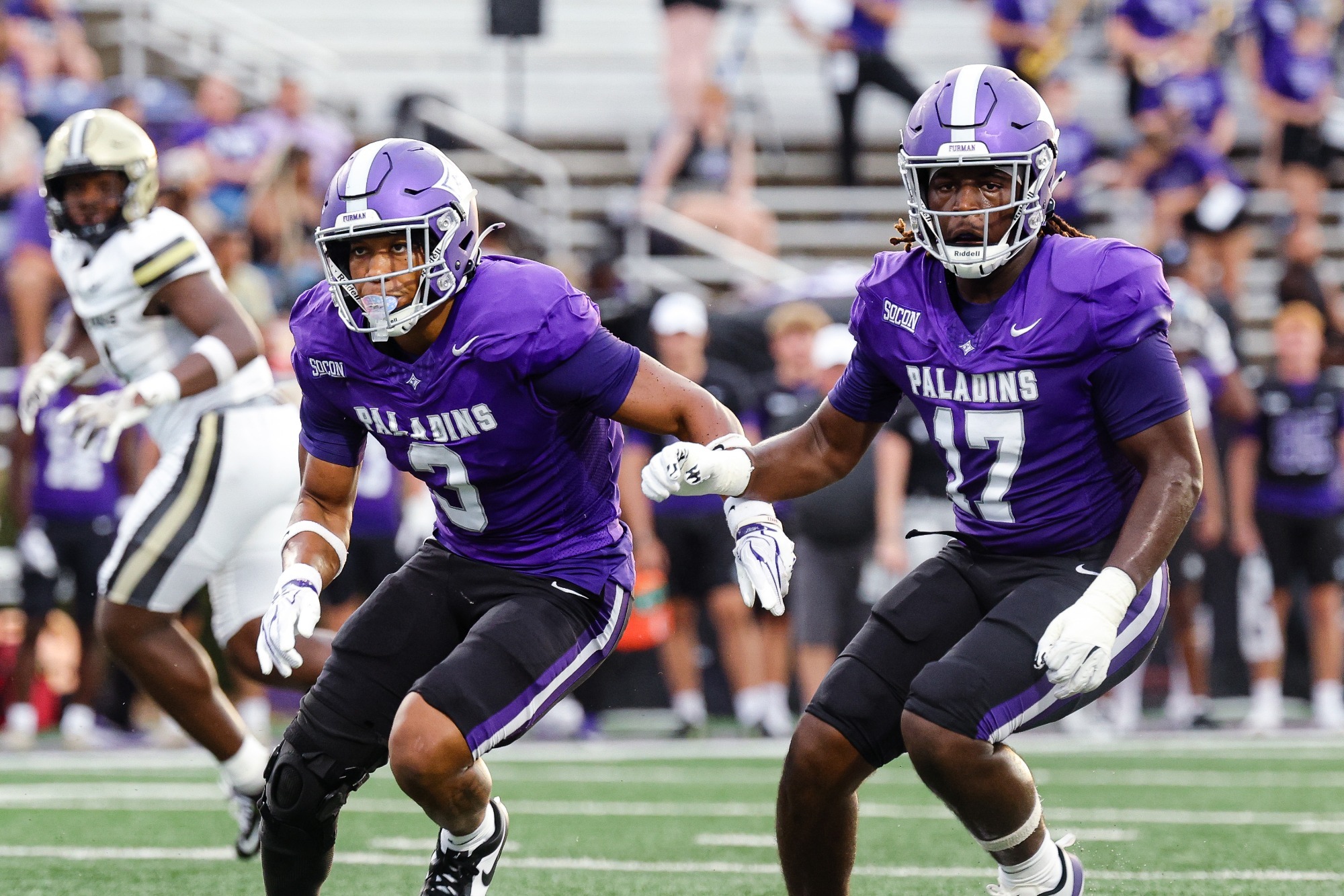 Furman Paladins