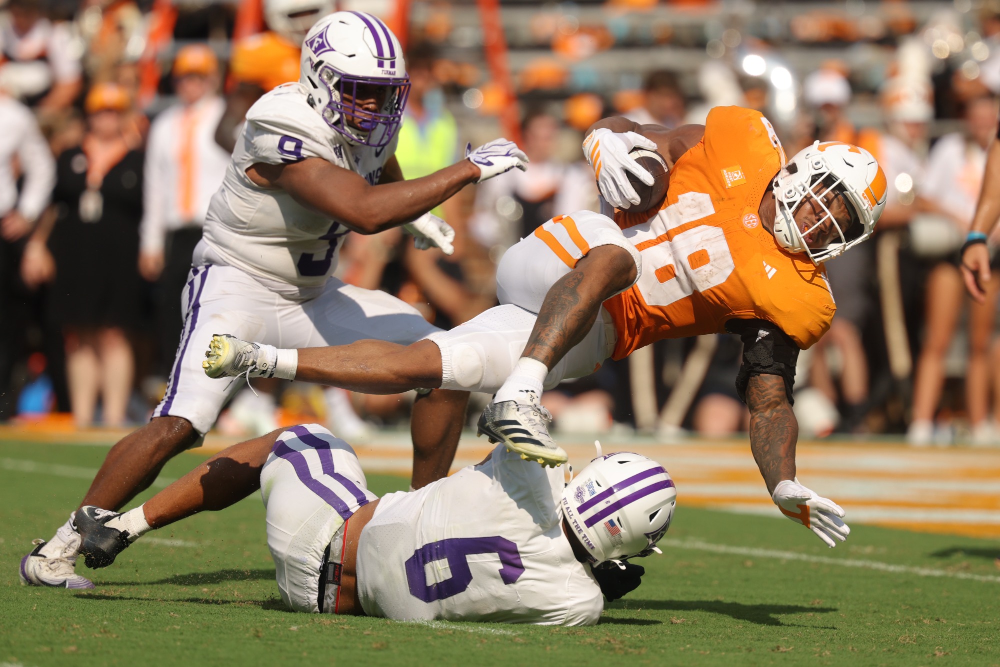 Furman Paladins