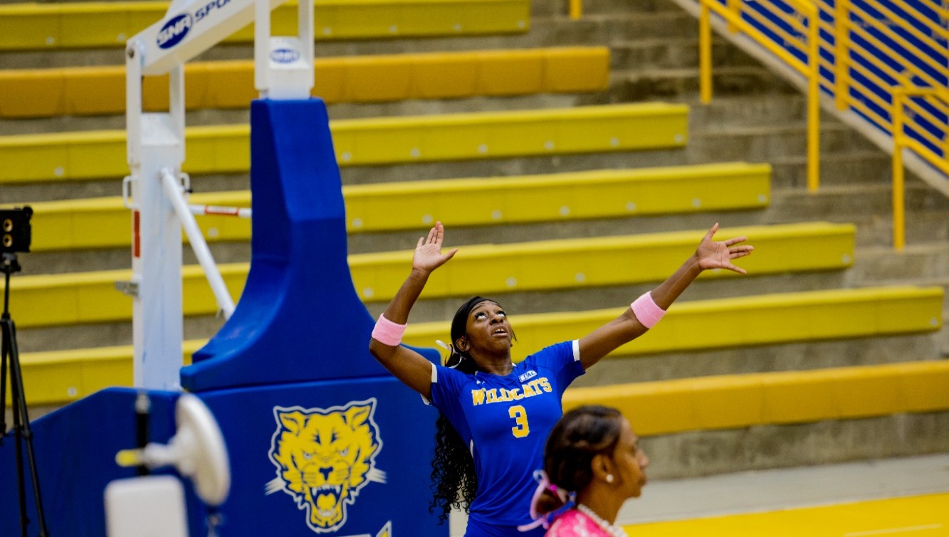 WVB