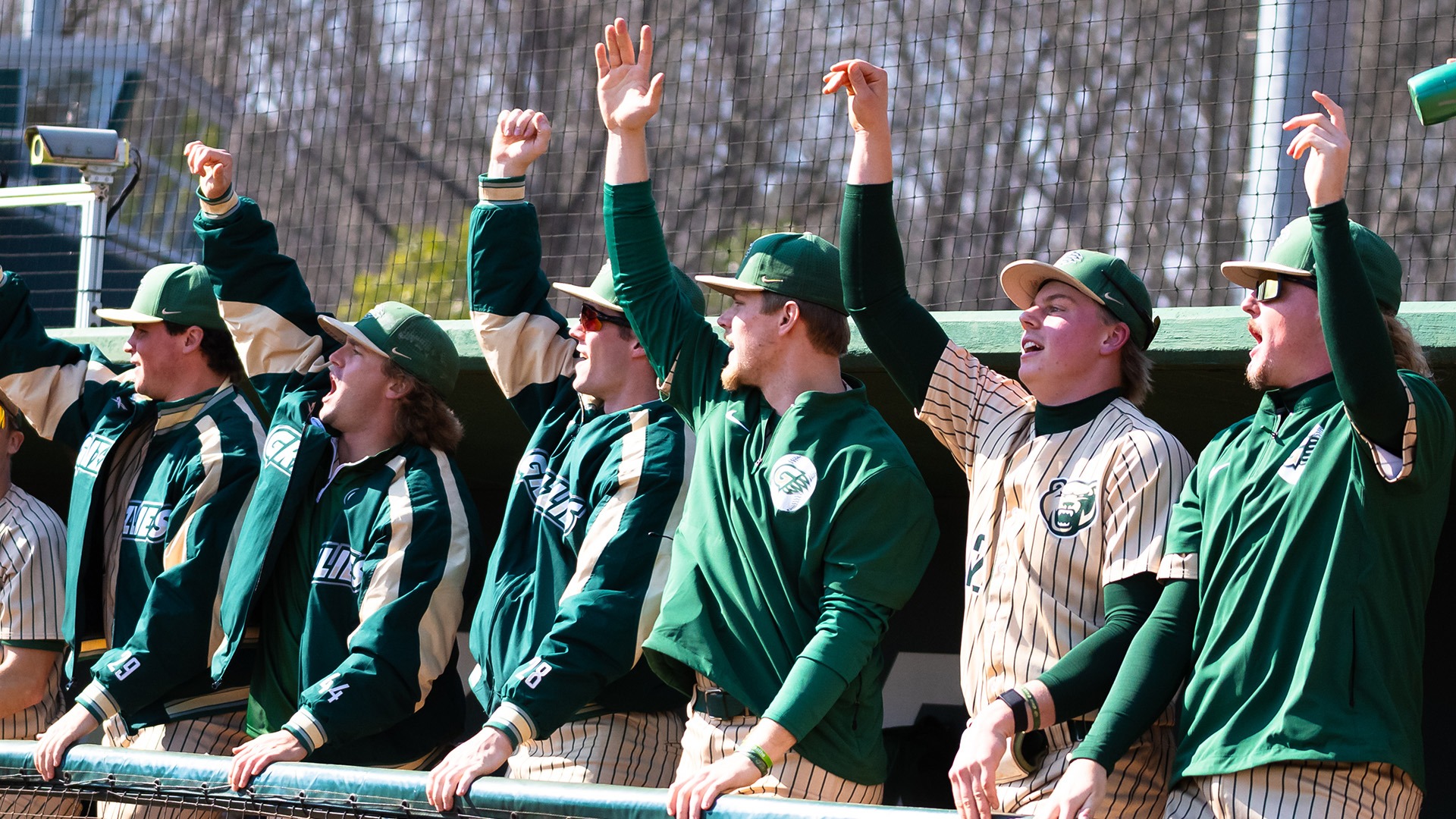 26_BSB_Dugout emotion