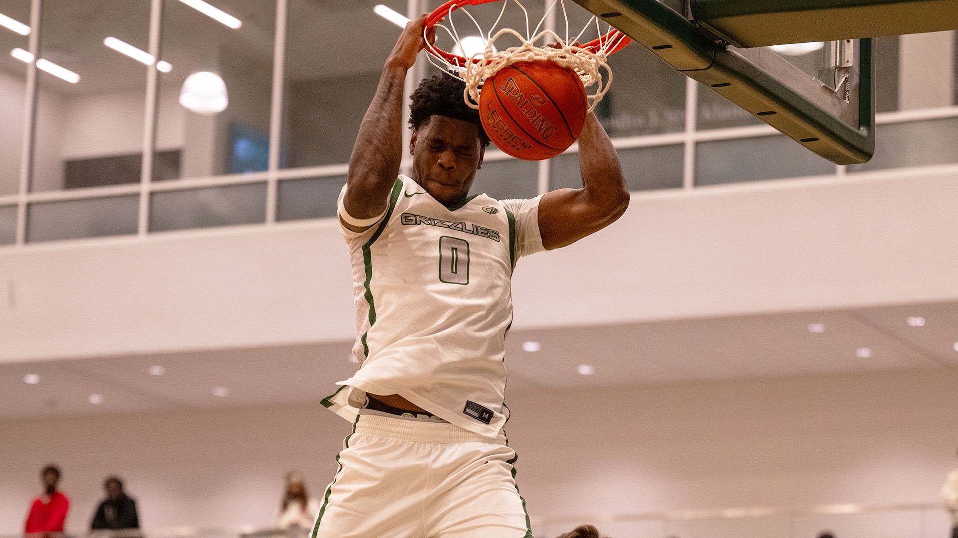 Johnson dunk