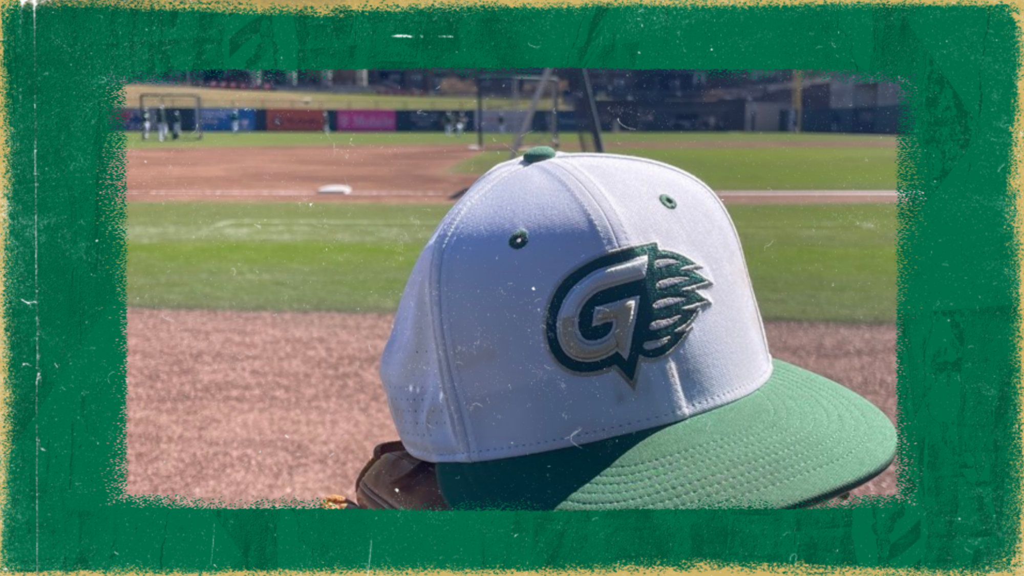 Gwinnett Field Feature Web