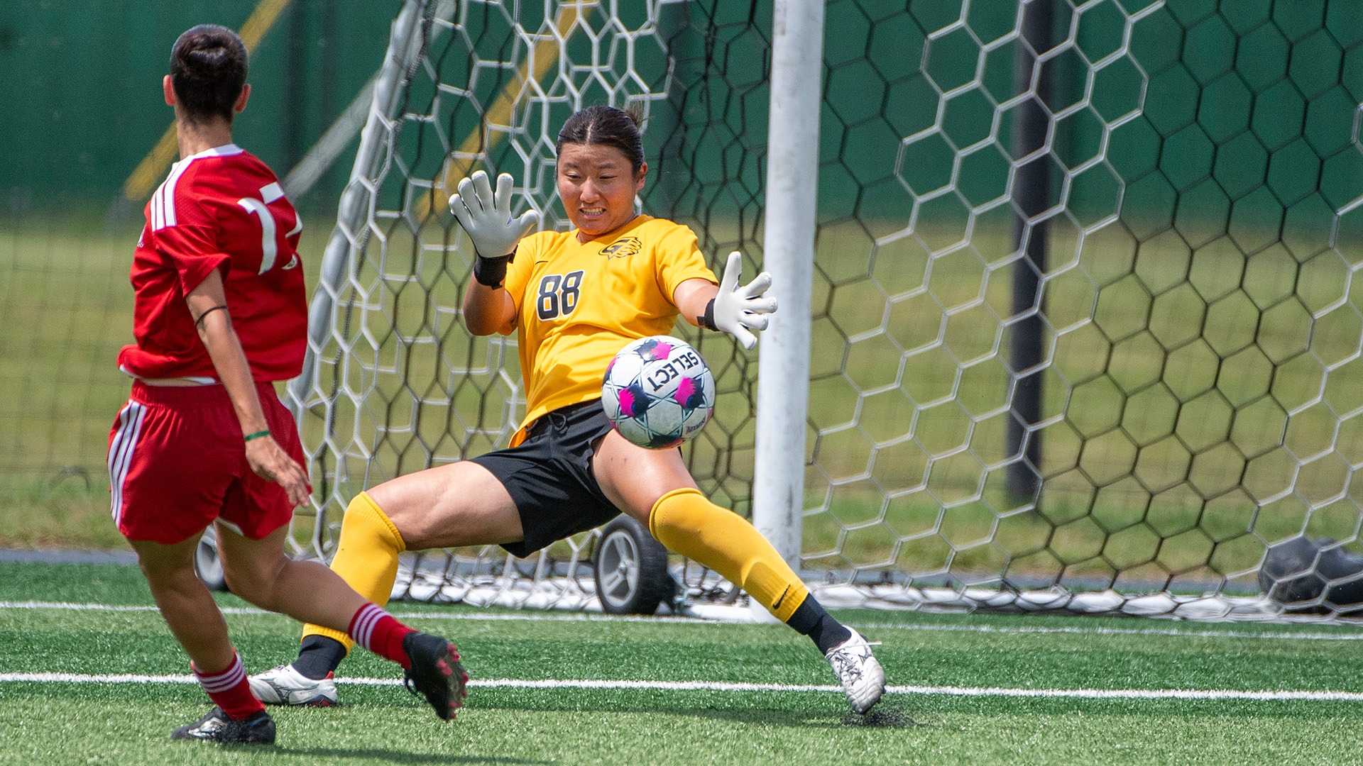 Sasaki save