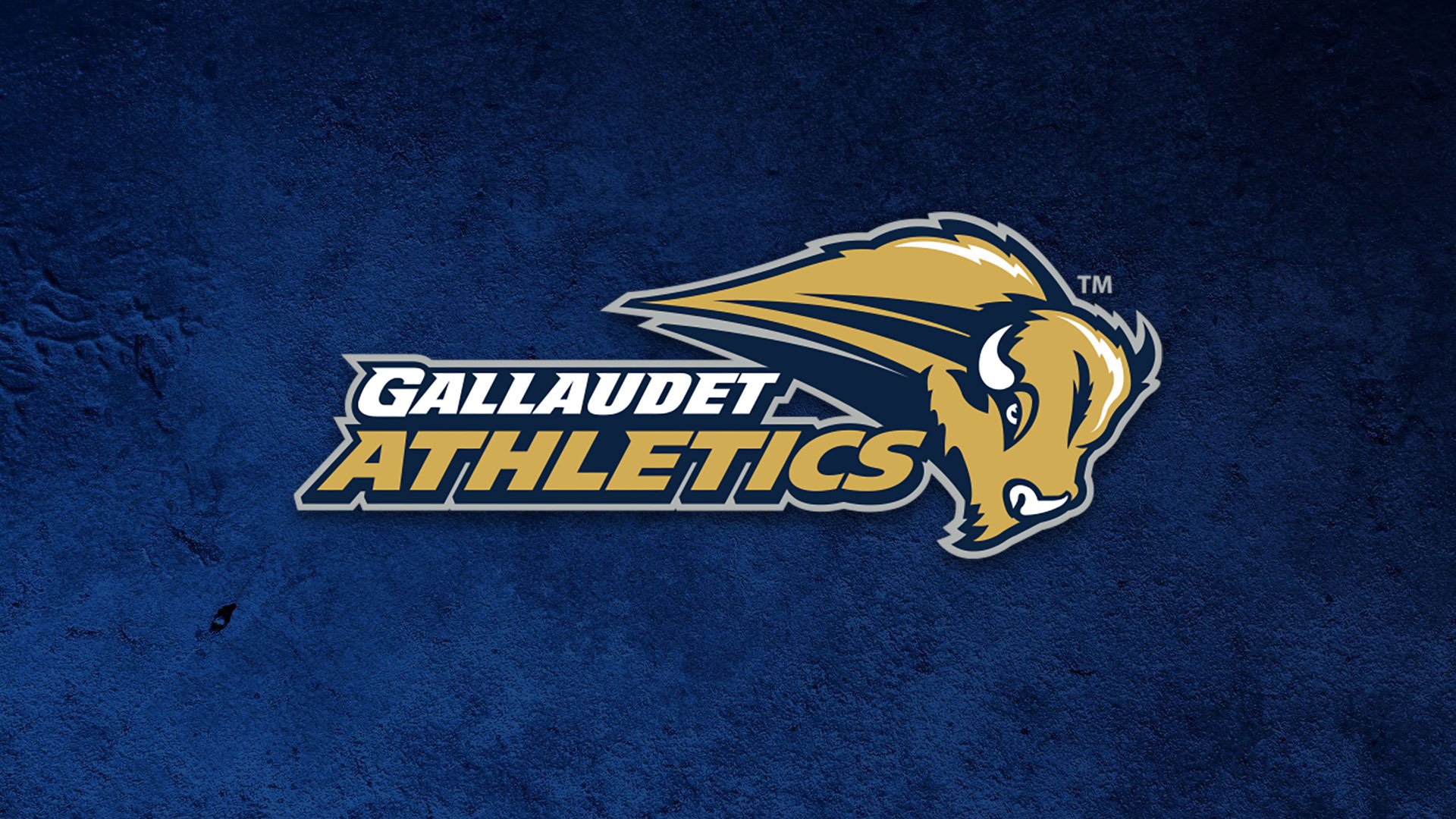 GU Athletics logo on a dark blue background that has texture