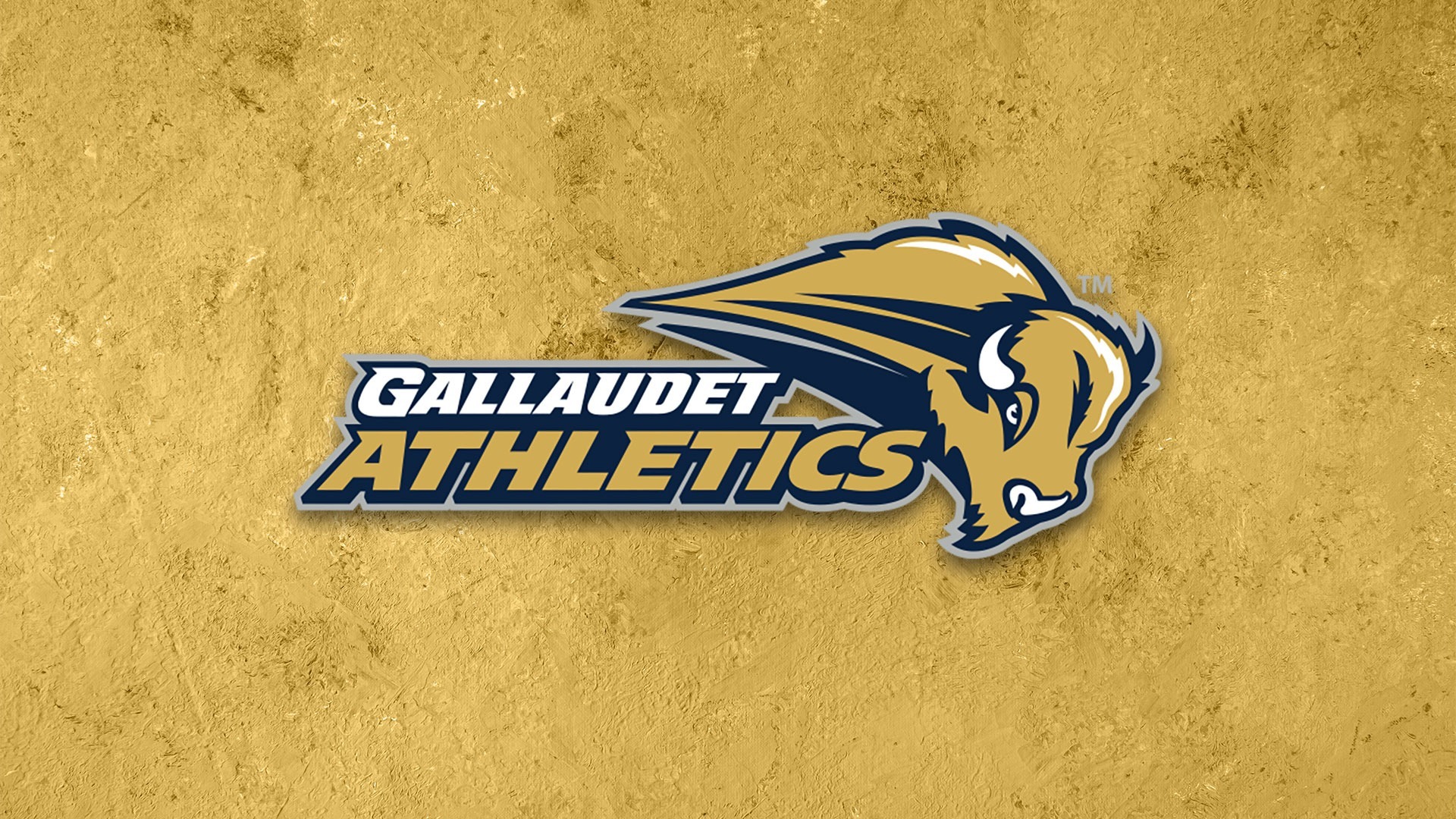 guathletics-gold GU Athletics logo on a gold textured background