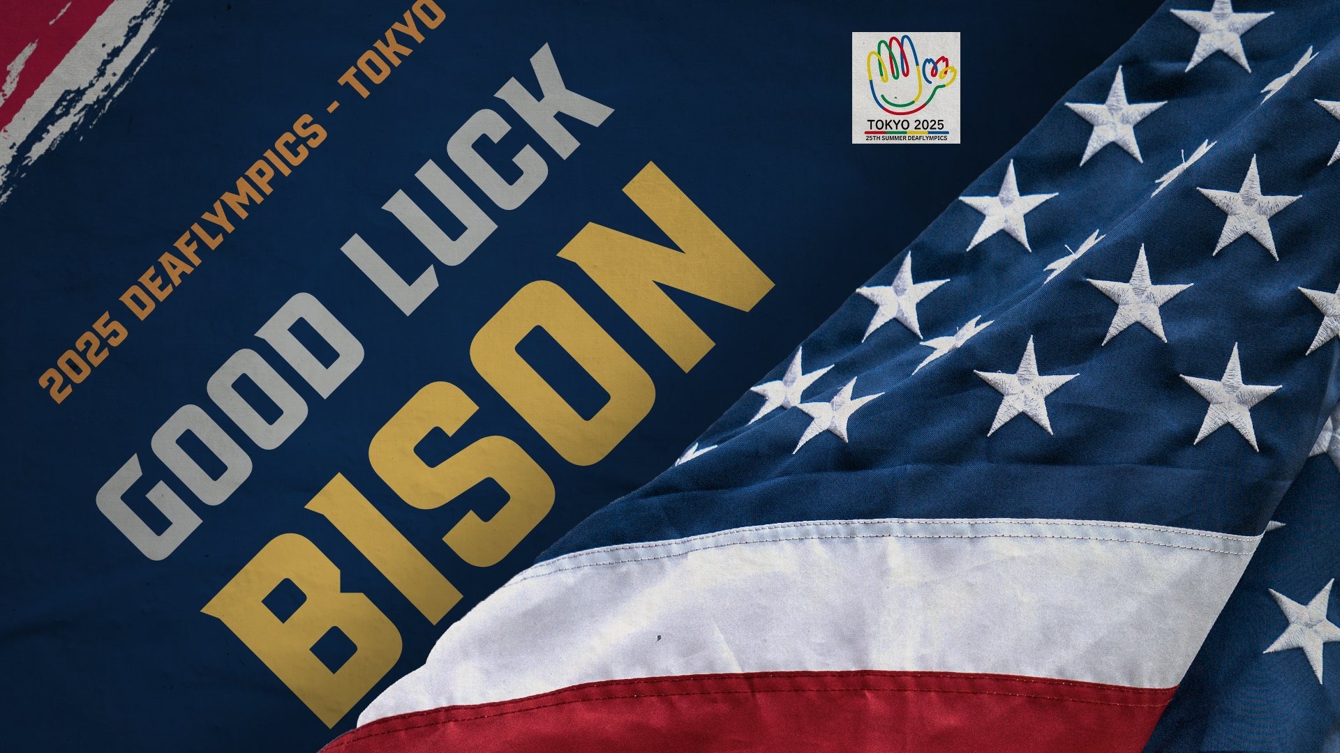 2025 Deaflympics - Tokyo - Good Luck Bison graphic