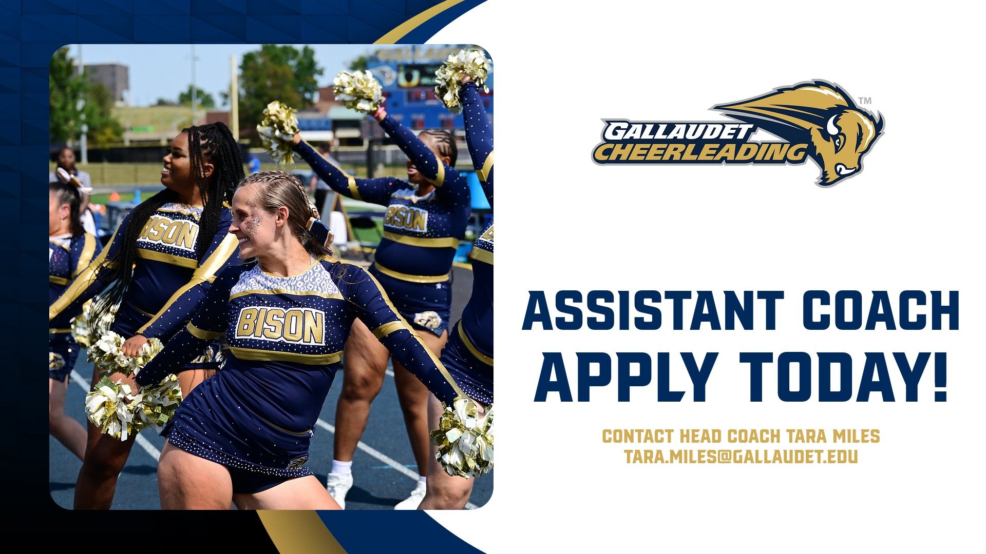 Gallaudet Bison cheerleading assistant coach needed graphic