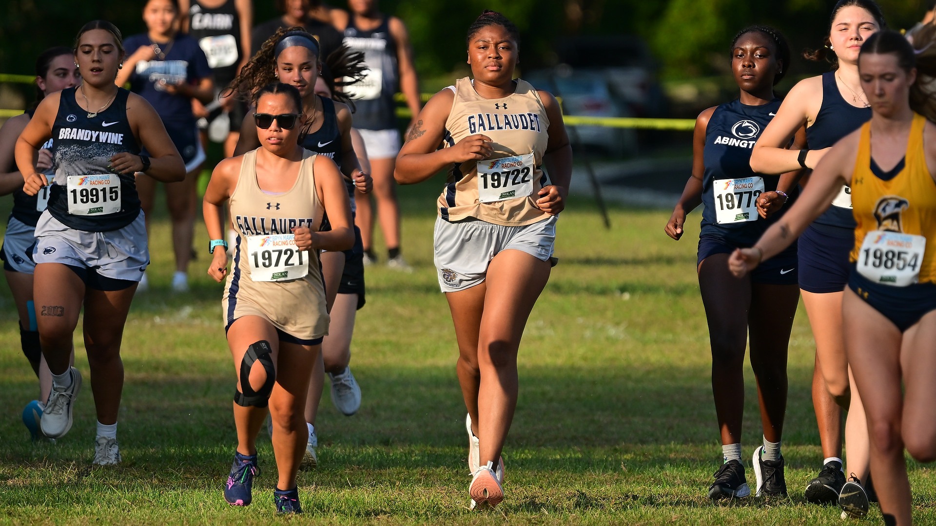 Two Gallaudet women's cross country runners begin a 6K race on the campus of Penn State Brandywine on a sunny Friday evening. The two Bison runners are in the middle of the photo with the buff gold jersey on and they are surrounded by many other runners around them.