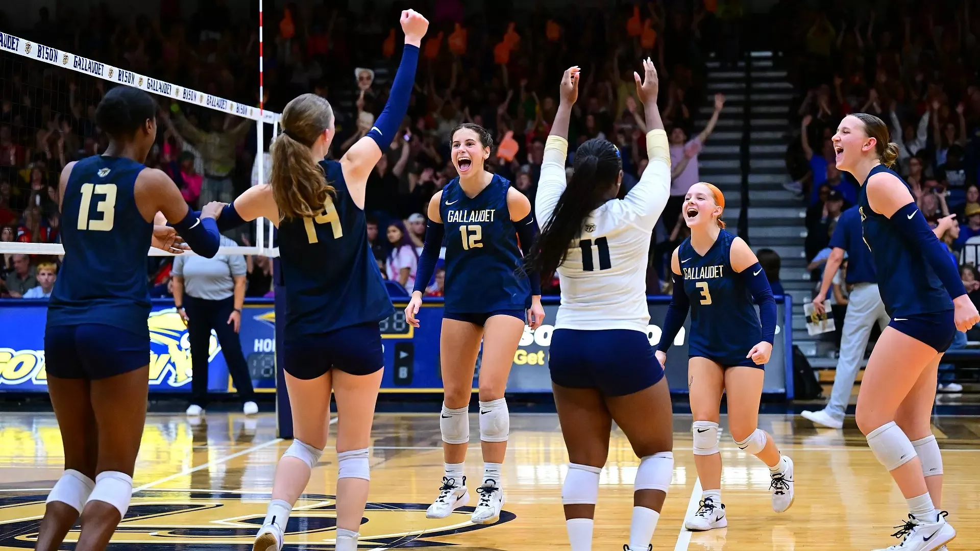Gallaudet University women's volleyball players erupt in celebration after winning the final point of their 3-0 sweep over Wilson College on Oct. 16 during Homecoming weekend at the Field House. Kayla Debrow (#13), Brielle Worley (#14), Gracie Gloster (#12), Tori Harris (#11), Sirrah Wilding (#3) and Jada Zarembka (#5) cheer with raised arms, clenched fists and excited expressions as the Homecoming crowd celebrates in the background.