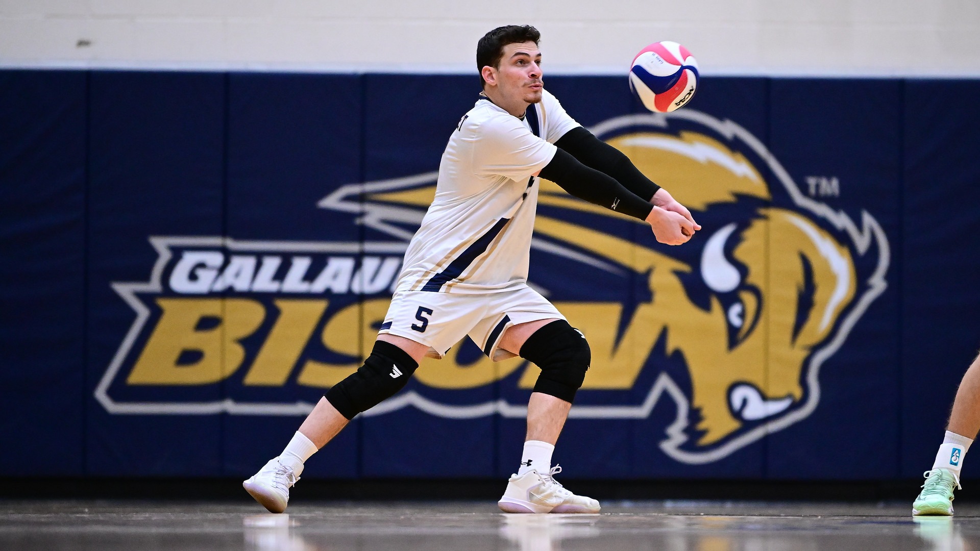 Gallaudet men's volleyball libero Elian Zfati makes a dig during a home match in the Field House.