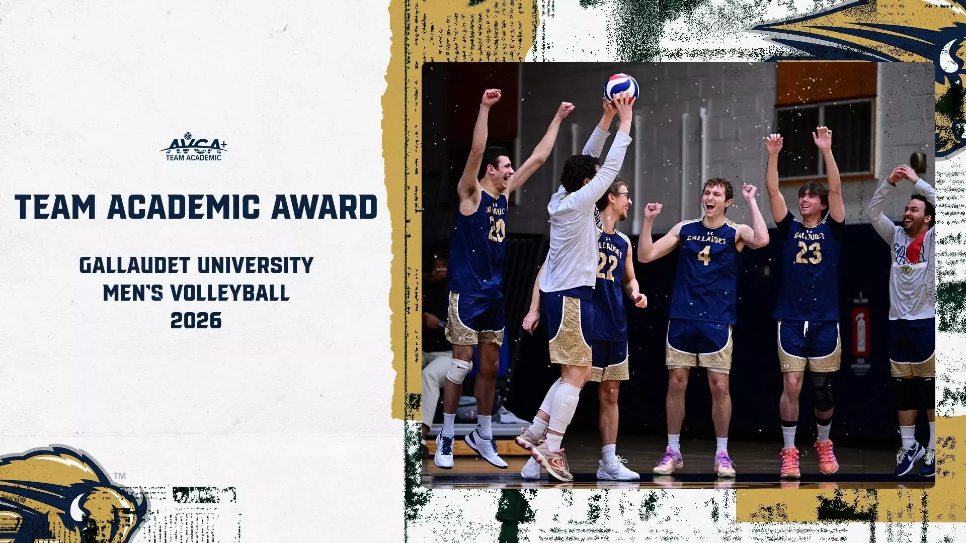 2026 AVCA Team Academic Award graphic for Gallaudet University Men's Volleyball Team. On the right is an action photo of the men's volleyball team during a break point in a home match in the Field House. The Bison bench is standing with their arms extended high as they are excited for the GU point.