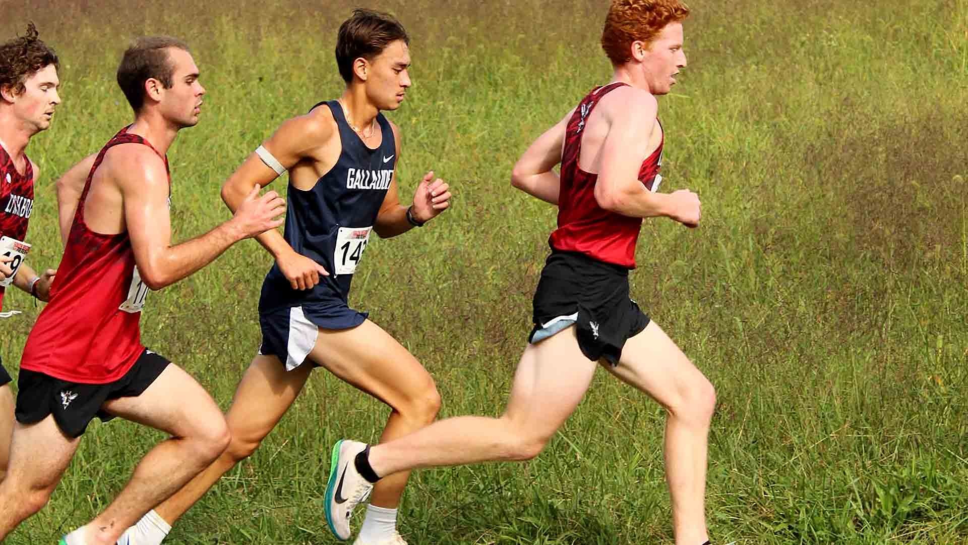 Gallaudet men’s cross country runner Sevan Ikeda, wearing a navy Bison singlet, races through a grassy section of the course alongside several Lynchburg runners during Saturday’s South Region Preview in Earlysville, Virginia.