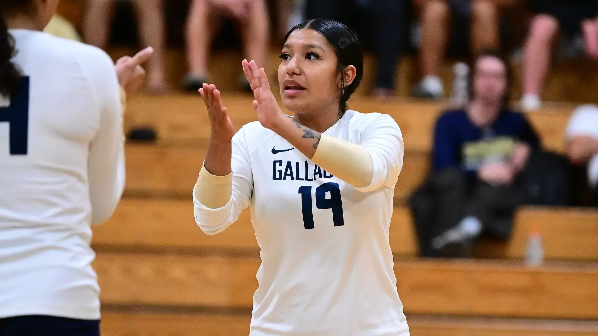 Gallaudet women’s volleyball player Angelique Quinonez (#19) claps and communicates with a teammate on the court while wearing the Bison's white uniform during a match.