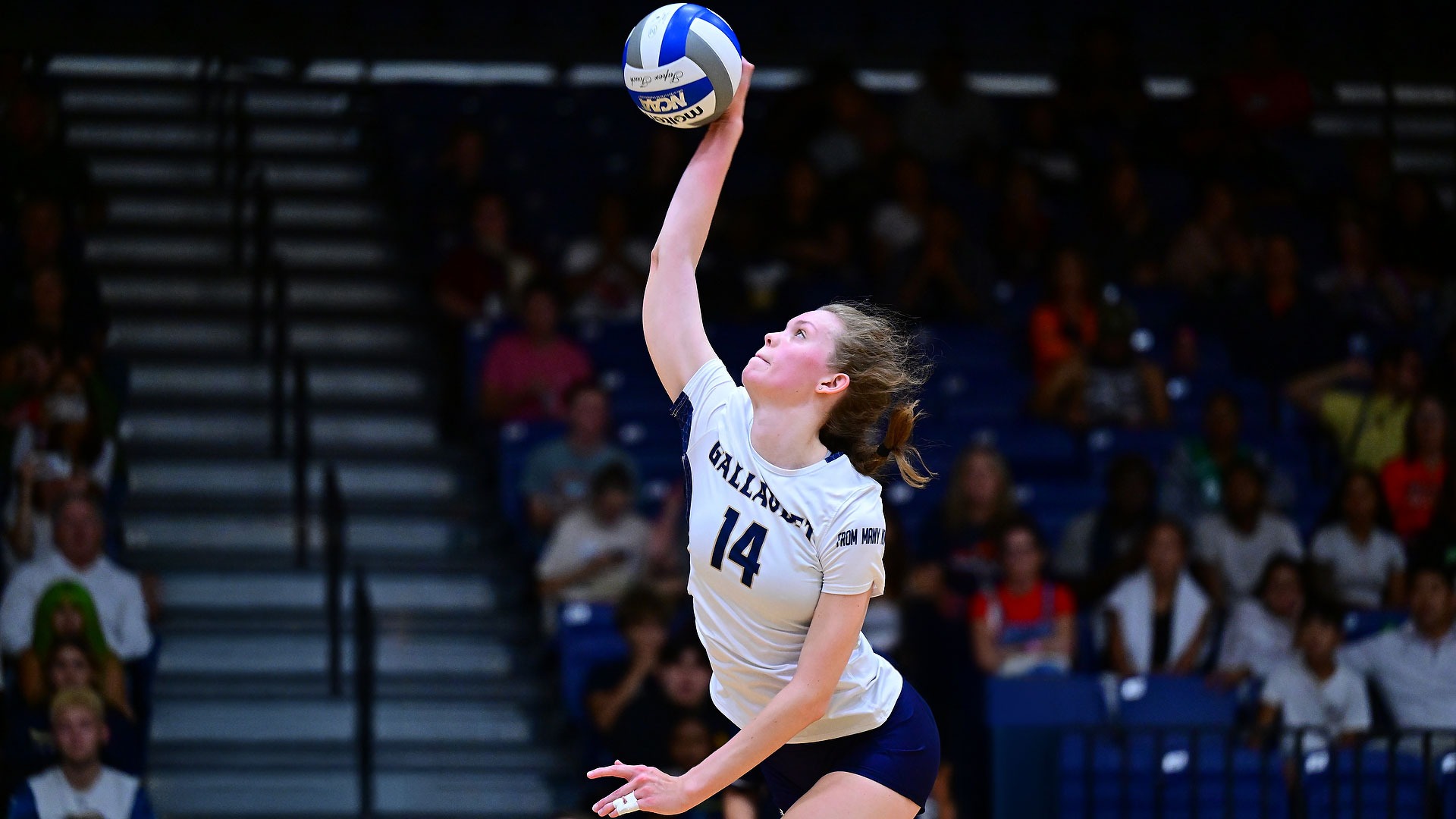 Gallaudet women’s volleyball player No. 14 Brielle Worley reaches high with her right hand to serve the ball during a match.