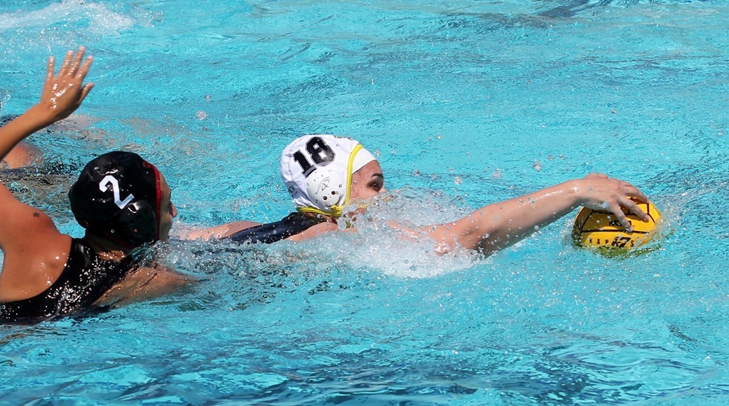 Alison Cooney 2018 Women's Water Polo Gannon University Athletics