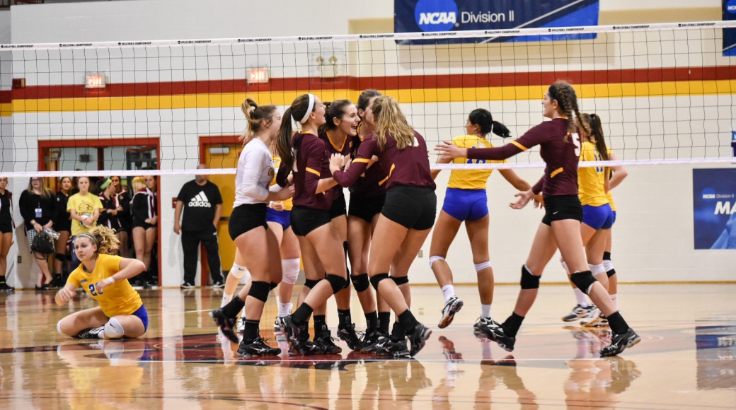 Kelsey Ansec 2017 Women's Volleyball Gannon University Athletics