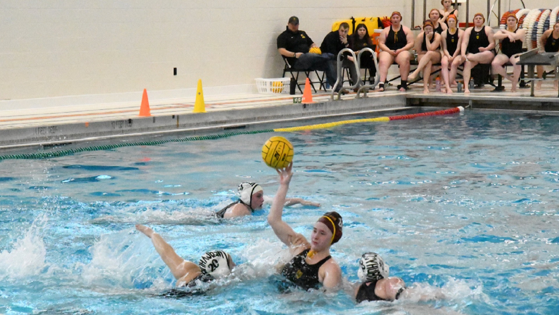 Josie Frisina 2024 Women's Water Polo Gannon University Athletics