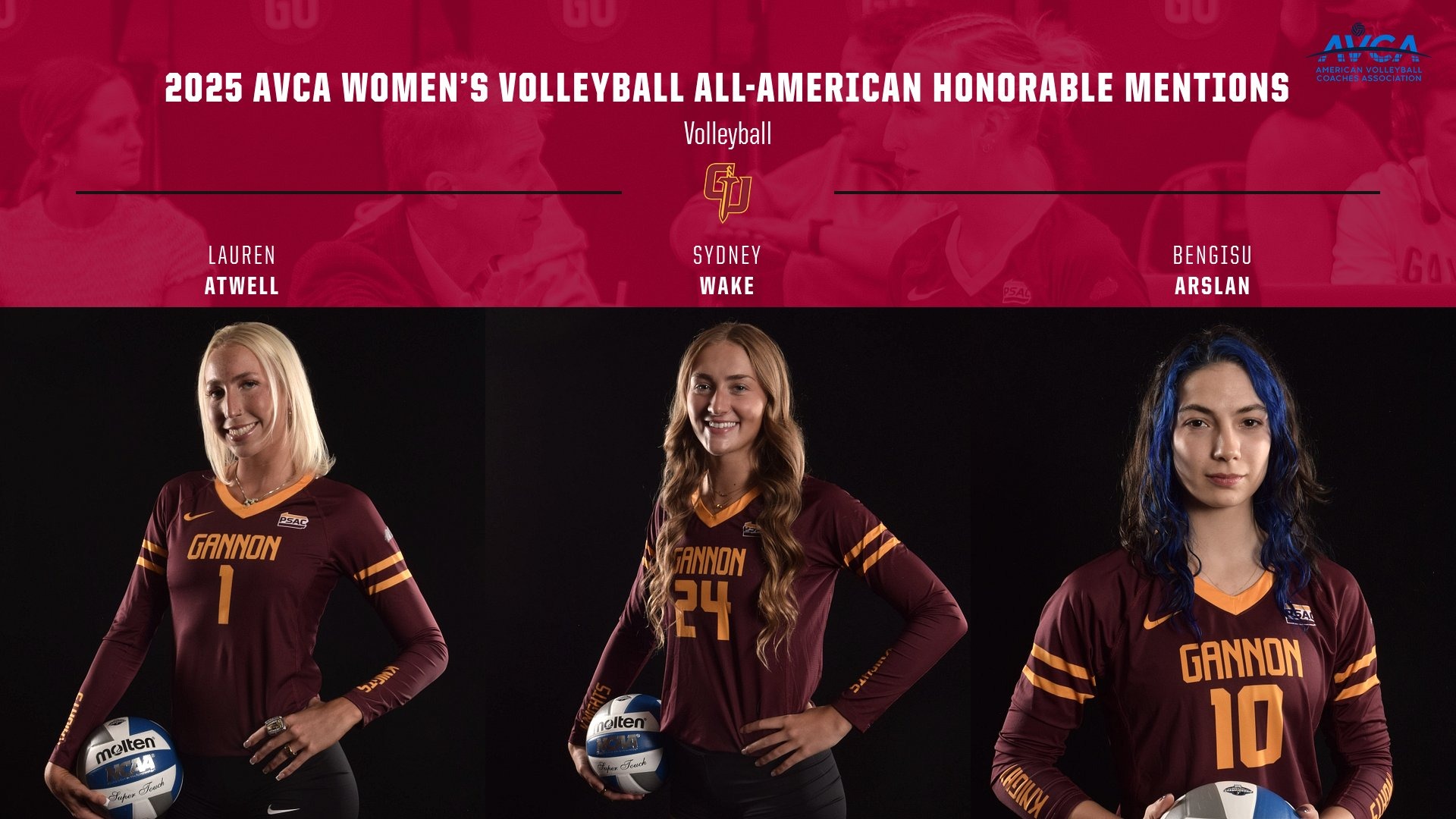 2025 AVCA Volleyball All-American Honorable Mentions
