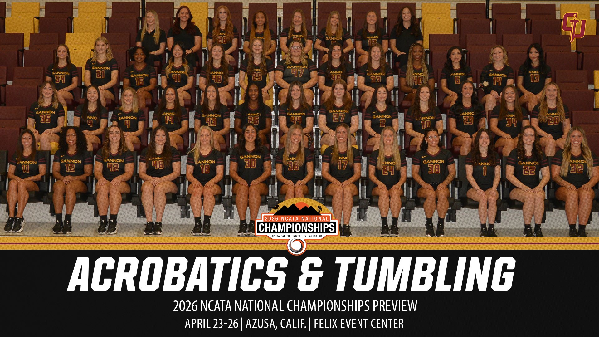 Acrobatics and Tumbling preview 