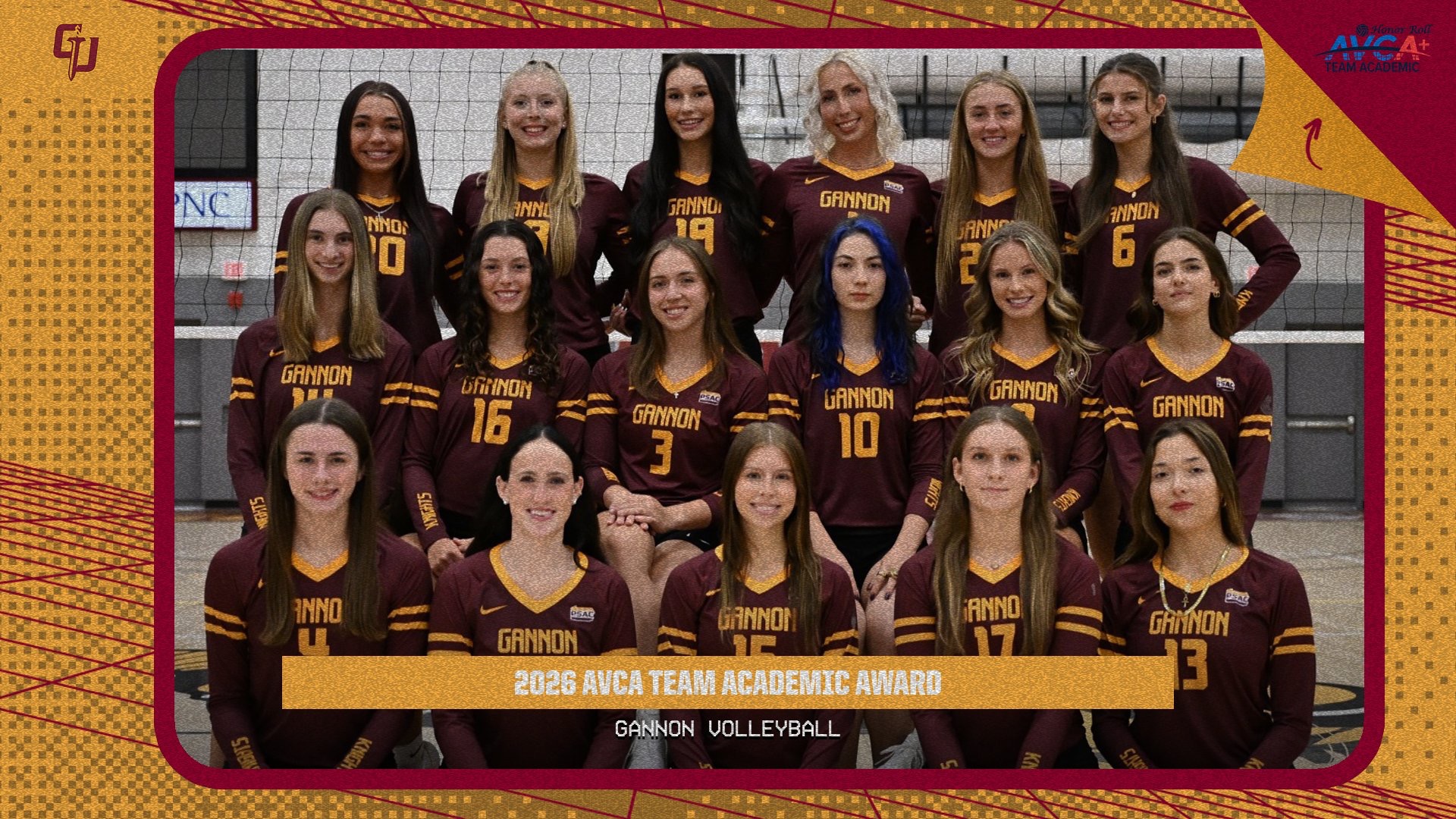 AVCA Academic Team Award 