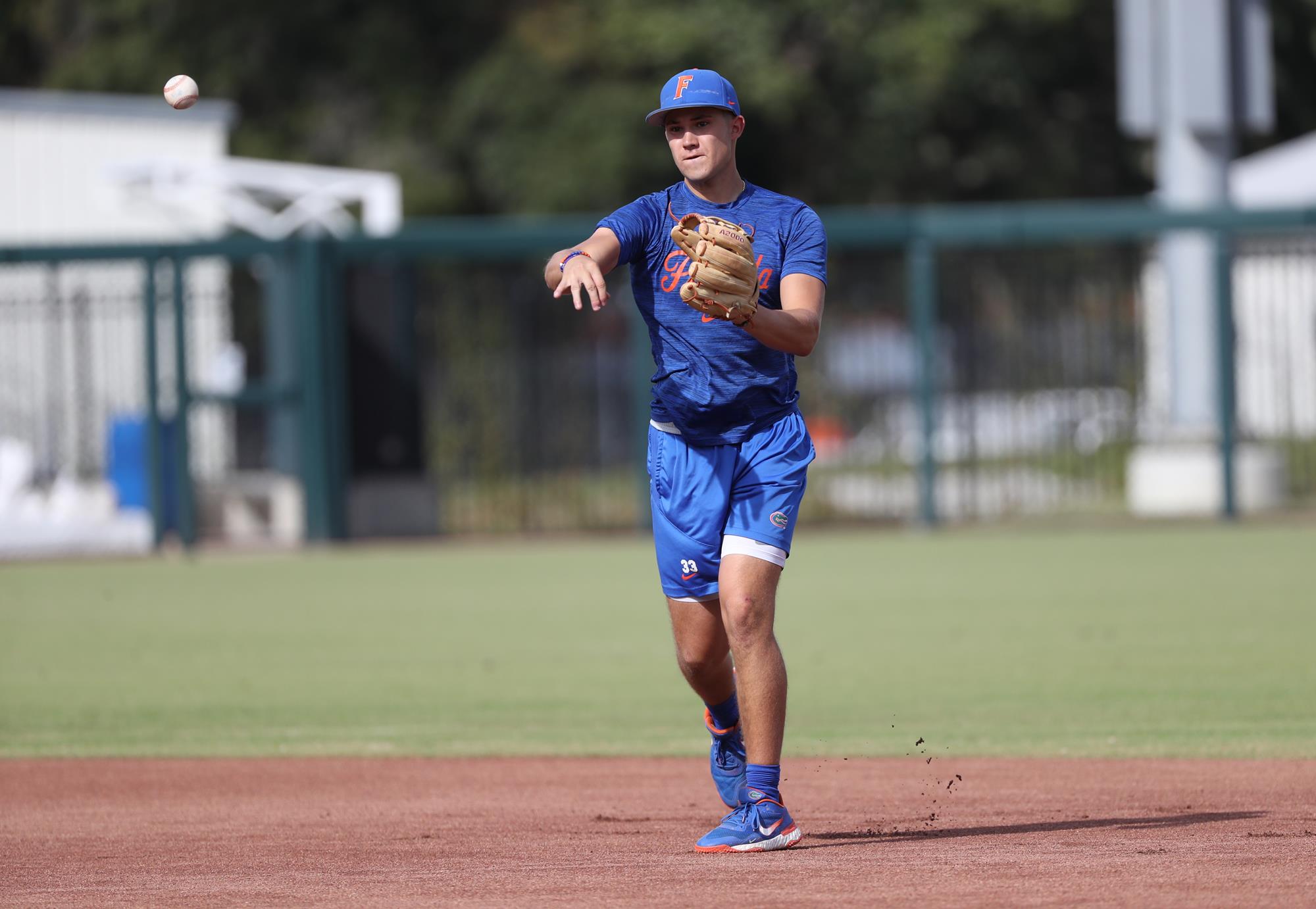 De Goti Baseball Florida Gators