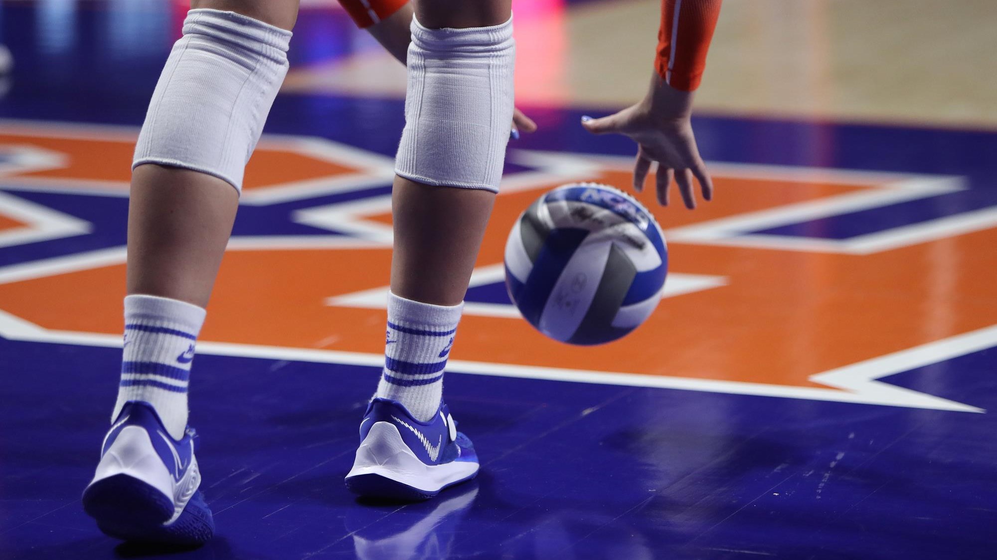 Meet Florida Volleyball’s 2023 Signing Class Florida Gators