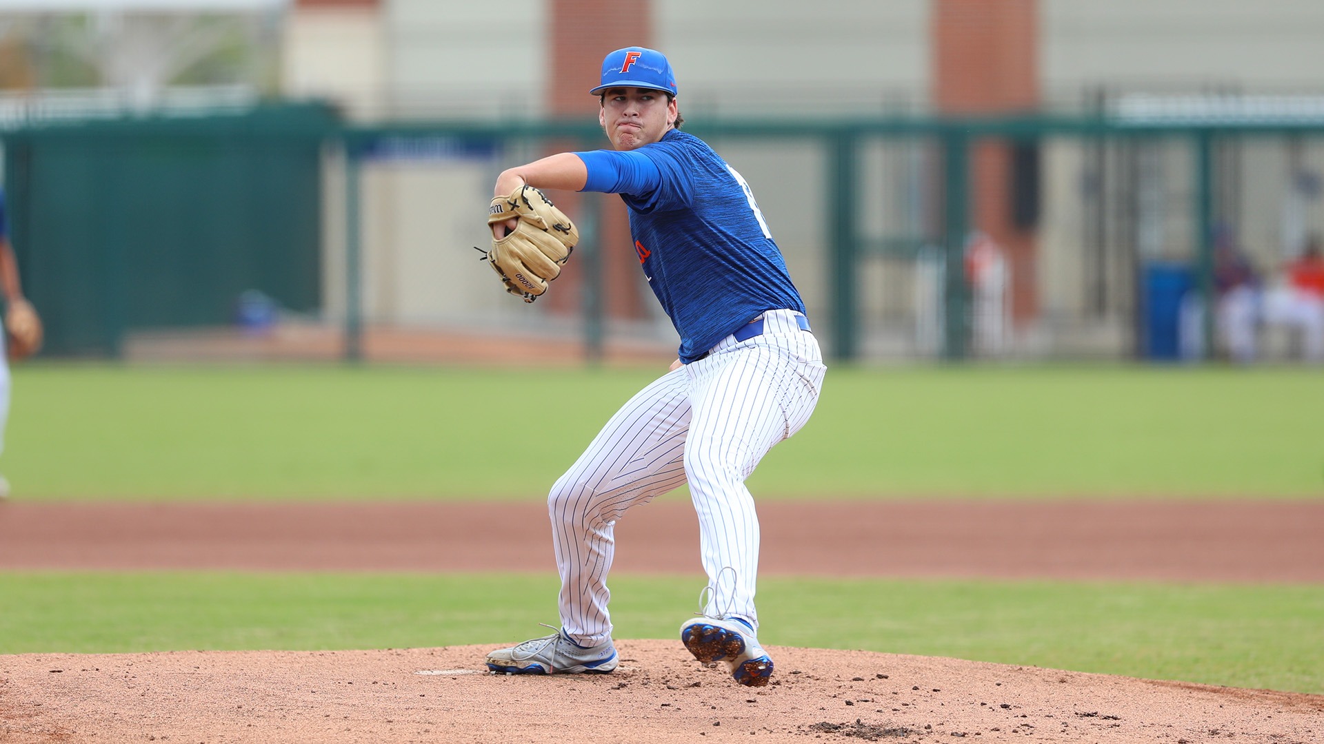 Liam Peterson Baseball Florida Gators