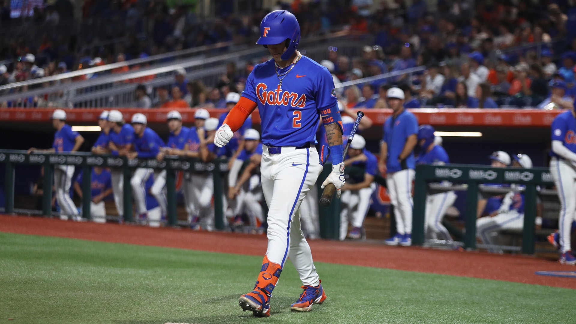 Ty Evans Baseball Florida Gators