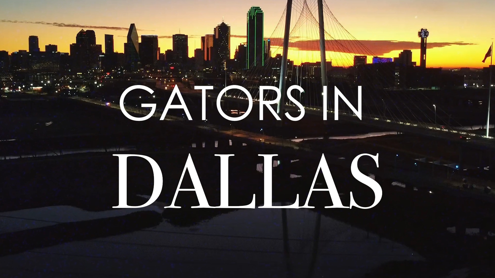 thumbnail for Gators in Dallas video