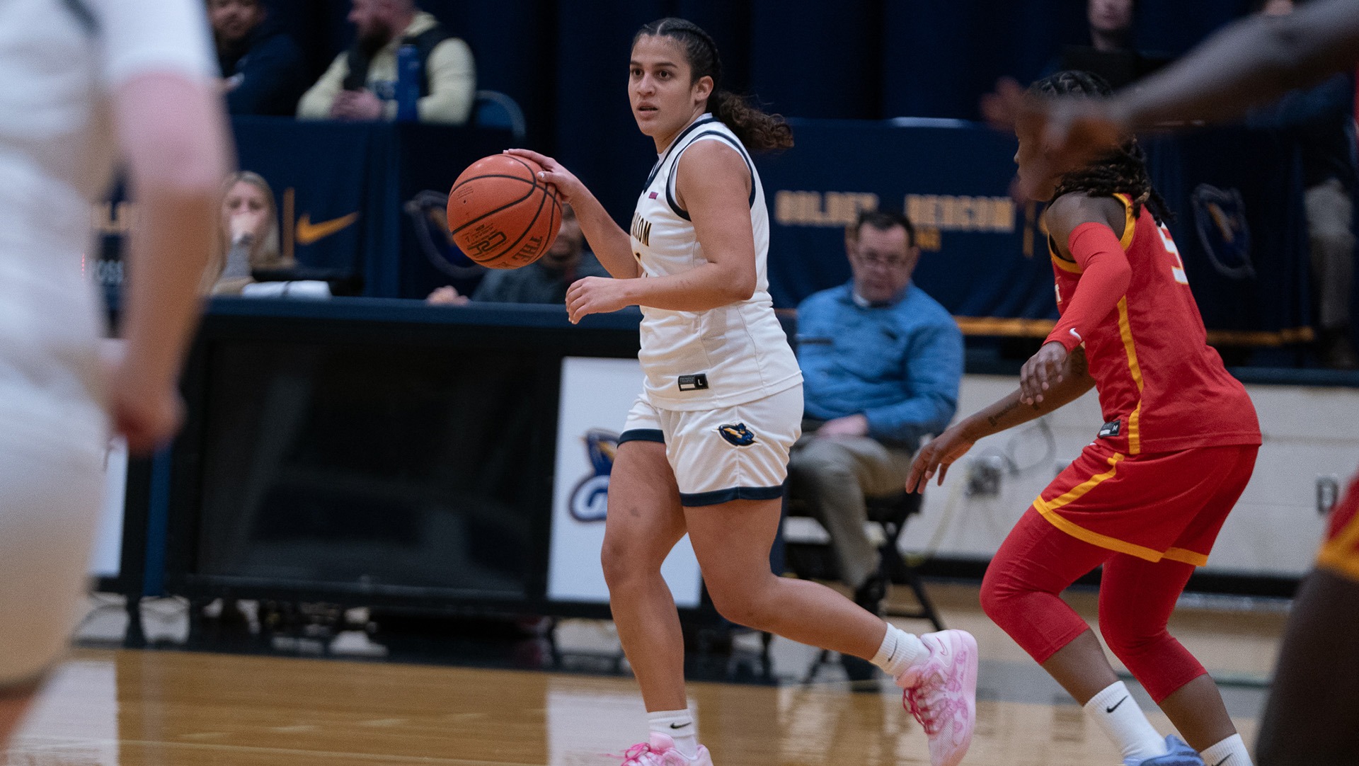 Garciagenesis26-11net