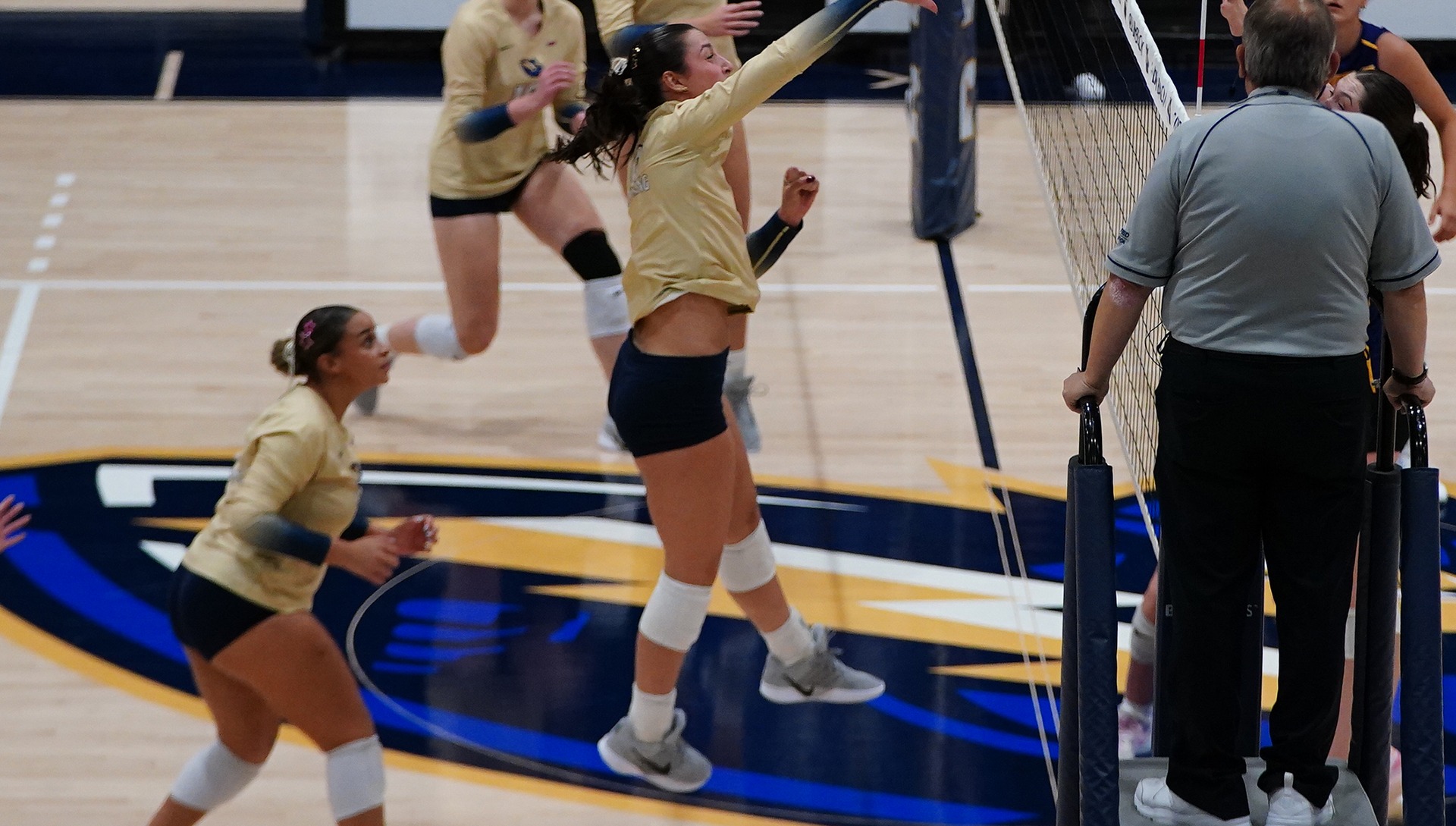 Brin26-1net