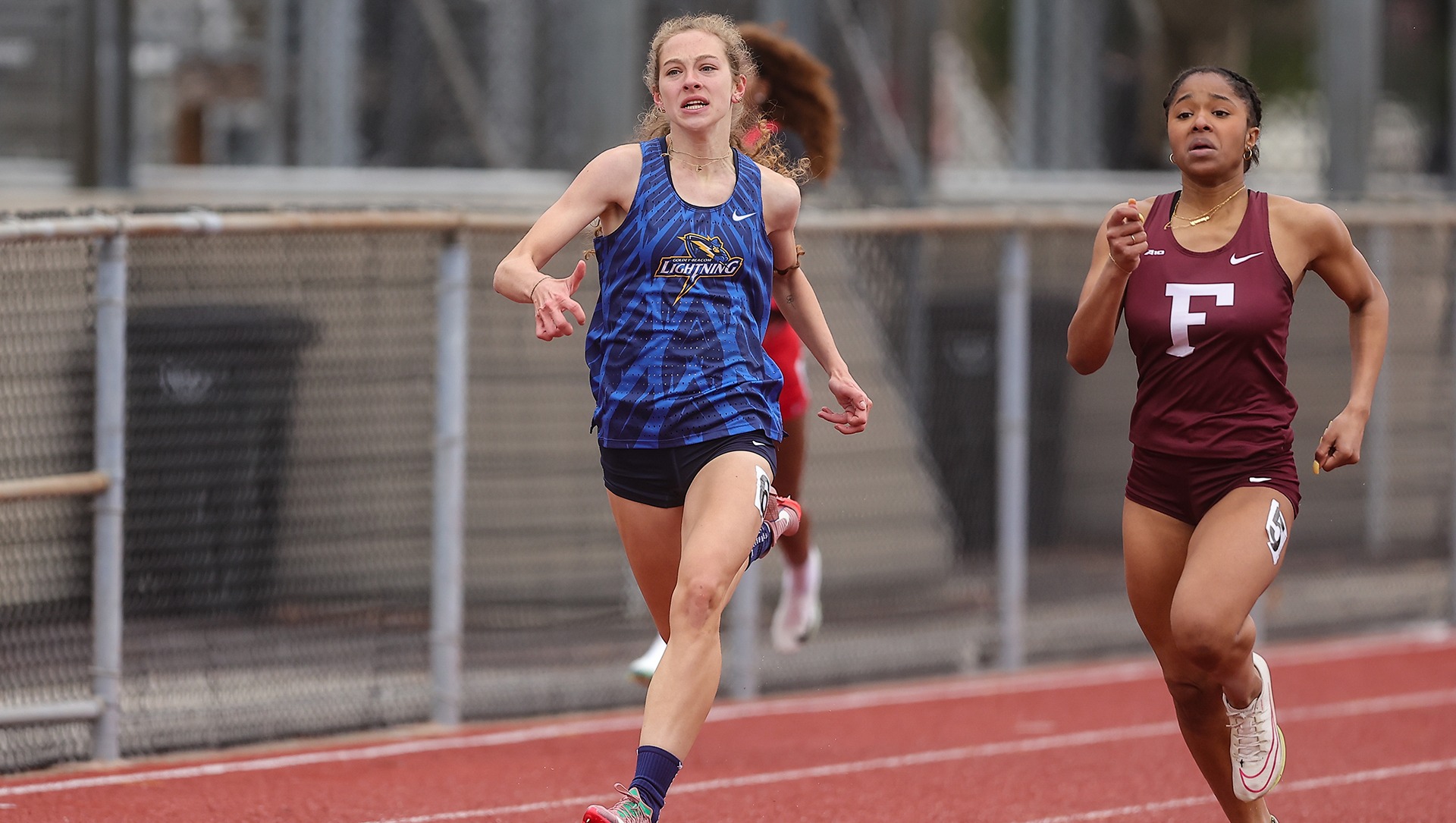 Dixonryleytf25-13net