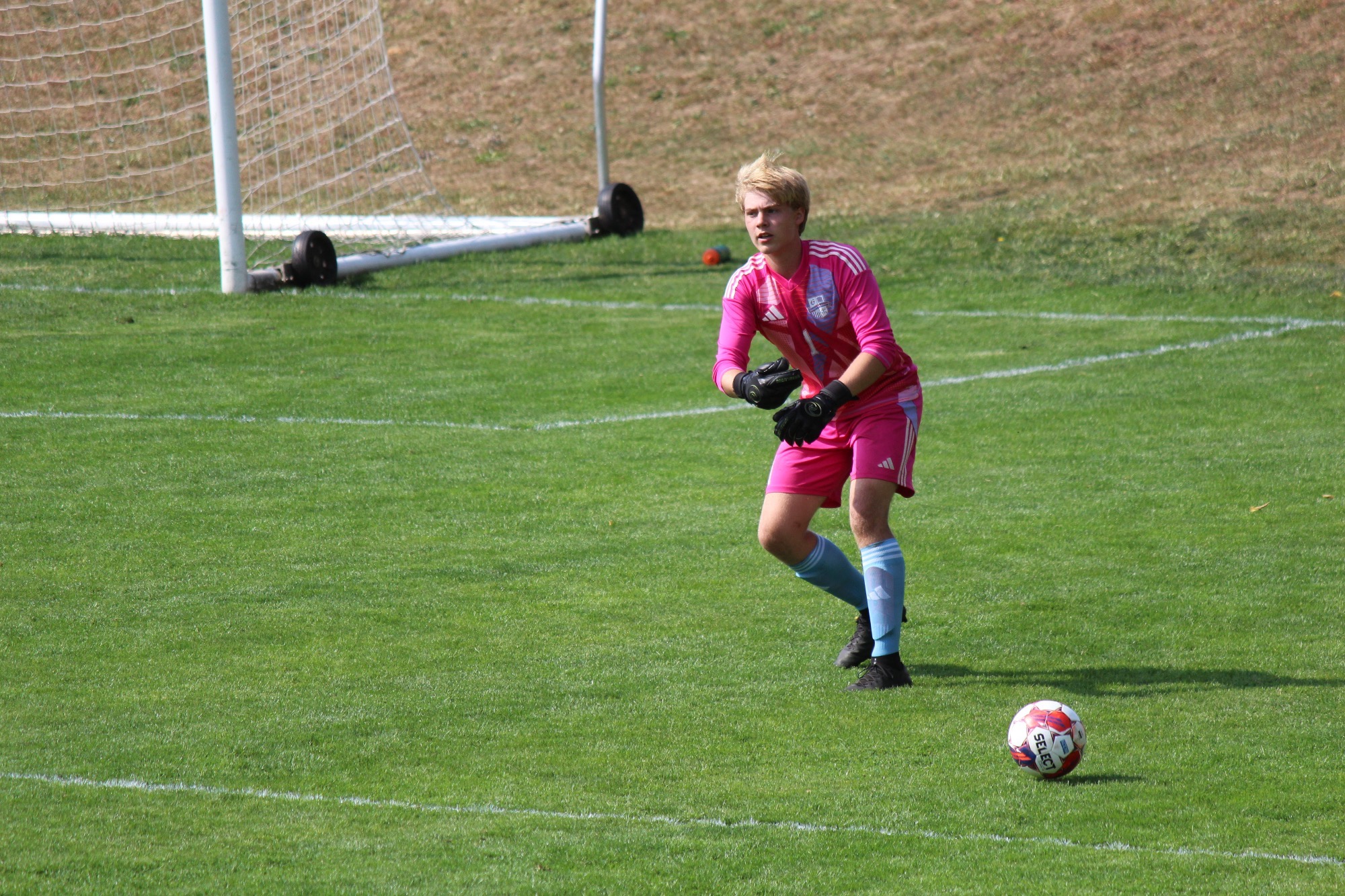 msoc